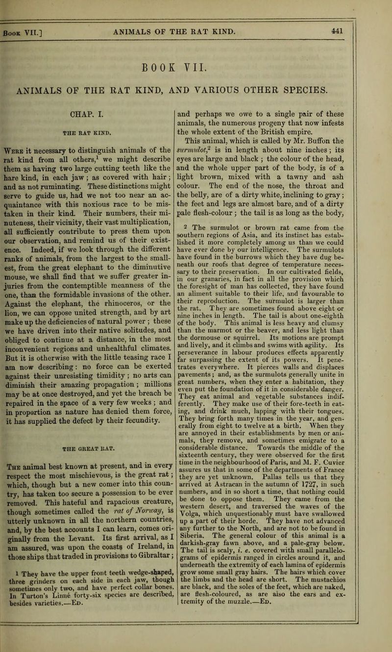 BOOK VII. ANIMALS OF THE RAT KIND, AND VARIOUS OTHER SPECIES. CHAP. I. THE RAT KIND. Were it necessary to distinguish animals of the rat kind from all others,^ we might describe them as having two large cutting teeth like the hare kind, in each jaw; as covered with hair; and as not ruminating. These distinctions might serve to guide us, had we not too near an ac- quaintance with this noxious race to be mis- taken in their kind. Their numbers, their mi- nuteness, their vicinity, their vast multiplication, all sufficiently contribute to press them upon our observation, and remind us of their exist- ence. Indeed, if we look through the different ranks of animals, from the largest to the small- est, from the great elephant to the diminutive mouse, we shall find that we suffer greater in- juries from the contemptible meanness of the one, than the formidable invasions of the other. Against the elephant, the rhinoceros, or the lion, we can oppose united strength, and by art make up the deficiencies of natural power ; these we have driven into their native solitudes, and obliged to continue at a distance, in the most inconvenient regions and unhealthful climates. But it is otherwise with the little teasing race I am now describing: no force can be exerted against their unresisting timidity ; no arts can diminish their amazing propagation; millions may be at once destroyed, and yet the breach be repaired in the space of a very few weeks ; and in proportion as nature has denied them force, it has supplied the defect by their fecundity. THE GREAT RAT. The animal best known at present, and in every respect the most mischievous, is the great rat; which, though but a new comer into this coun- try, has taken too secure a possession to be ever removed. This hateful and rapacious creature, though sometimes called the rat of Norway, is utterly unknown in all the northern countries, and, by the best accounts I can learn, comes ori- ginally from the Levant. Its first arrival, as I am assured, was upon the coasts of Ireland, in those ships that traded in provisions to Gibraltar; 1 They have the upper front teeth wedge-shaped, three grinders on each side in each jaw, though sometimes only two, and have perfect collar bones. In Turton’s Linn6 forty-six species are described, besides varieties.—Ed. and perhaps we owe to a single pair of these animals, the numerous progeny that now infests the whole extent of the British empire. This animal, which is called by Mr. Buffon the surmvlot'^ is in length about nine inches; its eyes are large and black ; the colour of the head, and the whole upper part of the body, is of a light brown, mixed with a tawny and ash colour. The end of the nose, the throat and the belly, are of a dirty white, inclining to gray; the feet and legs are almost bare, and of a dirty pale flesh-colour; the tail is as long as the body, 2 The surmulot or brown rat came from the southern regions of Asia, and its instinct has estab- lished it more completely among us than we could have ever done by our intelligence. The surmulots have found in the burrows which they have dug be- neath our roofs that degree of temperature neces- sary to their preservation. In our cultivated fields, in our granaries, in fact in all the provision which the foresight of man has collected, they have found an aliment suitable to their life, and fevourable to their reproduction. The surmulot is larger than the rat. They are sometimes found above eight or nine inches in length. The tail is about one-eighth of the body. This animal is less heavy and clumsy than the marmot or the beaver, and less light than the dormouse or squirrel. Its motions are prompt and lively, and it climbs and swims with agility. Its perseverance in labour produces effects apparently far surpassing the extent of its powers. It pene- trates everywhere. It pierces walls and displaces pavements; and, as the surmulots generally unite in great numbers, when they enter a habitation, they even put the foundation of it in considerable danger. They eat animal and vegetable substances indif- ferently. They make use of their fore-teeth in eat- ing, and drink much, lapping with their tongues. They bring forth many times in the year, and gen- erally from eight to twelve at a birth. When they are annoyed in their establishments by men or ani- mals, they remove, and sometimes emigrate to a considerable distance. Towards the middle of the sixteenth century, they were observed for the first time in the neighbourhood of Paris, and M. F. Cuvier assures us that in some of the departments of France they are yet unknown. Pallas tells us that they arrived at Astracan in the autumn of 1727, in such numbers, and in so short a time, that nothing could be done to oppose them. They came from the western desert, and traversed the waves of the Volga, which unquestionably must have swallowed up a part of their horde. They have not advanced any further to the North, and are not to be found in Siberia. The general colour of this animal is a darkish-gray fawn above, and a pale-gray below. The tail is scaly, t. e. covered with small parallelo- grams of epidermis ranged in circles around it, and underneath the extremity of each lamina of epidermis grow some small gray hairs. The hairs which cover the limbs and the head are short. The mustachios are black, and the soles of the feet, which are naked, are flesh-coloured, as are aiso the ears and ex- tremity of the muzzle Ed.