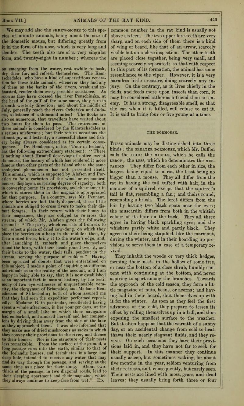 We may add also the shrew-mottse to this spe- cies of minute animals, being about the size of the domestic mouse, but differing greatly from it in the form of its nose, which is very long and slender. The teeth also are of a very singular form, and twenty-eight in number ; whereas the on emerging from the water, rest awhile to bask, dry their fur, and refresh themselves. The Kam- tschadales, who have a kind of superstitious venera- tion for these little animals, whenever they find any of them on the banks of the rivers, weak and ex- hausted, render them every possible assistance. As soon as they have crossed the river Penschinska, at the head of the gulf of the same name, they turn in a south-westerly direction ; and about the middle of July, generally reach the rivers Ochetska and Judo- ma, a distance of a thousand miles ! The flocks are also so numerous, that travellers have waited about two hours for them to pass. The retirement of these animals is considered by the Kamtschadales as a serious misfortune ; but their return occasions the utmost joy and festivity, a successful chase and fish- ery being always considered as its certain conse- quence.” Dr. Henderson, in his ‘ Tour in Iceland,’ has the following extraordinary statement: “ There is nothing about Husafell deserving of notice except its mouse, the history of which has rendered it more famous than other parts of the island where the same zoological phenomenon has not presented itself. This animal, which is supposed by Alafsen and Por- eslen to be a variation of the wood or economical mouse, displays a surprising degree of sagacity, both in conveying home its provisions, and the manner in which it stores them in the magazine appropriated for that purpose. In a country, says Mr. Pennant, where berries are but thinly dispersed, these little animals are obliged to cross rivers to make their dis- tant forages. In their return with their booty to their magazines, they are obliged to re-cross the stream; of which Mr. Alafsen gives the following account : “ The party, which consists of from six to ten, select a piece of dried cow-dung, on which they place the berries on a heap in the middle : then, by their united force, bring it to the water’s edge, and, after launching it, embark and place themselves round the heap, with their heads joined over it, and their backs to the water, their tails, pendent in the stream, serving the purpose of rudders.” Having been apprized of doubts that were entertained on this subject, I made a point of inquiring at different individuals as to the reality of the account, and 1 am happy in being able to say, that it is now established as an important fact in natural history, by the testi- mony of two eye-witnesses of unquestionable vera- city, the clergyman of Briamslok, and Madame Ben- edictson of Stikesholm; both of whom assured me that they had seen the expedition performed repeat- edly. Madame B. in particular, recollected having spent a whole afternoon, in her younger days, at the margin of a small lake on which these navigators had embarked, and amused herself and her compan- ions by driving them away from the side of the lake as they approached them. I was also informed that they make use of dried mushrooms as sacks in which they convey their provisions to the river, and thence to their homes. Nor is the structure of their nests less remarkable. From the surface of the ground, a long passage runs into the earth, similar to that of the Icelandic houses, and terminates in a large and deep hole, intended to receive any water that may find its way through the passage, and serving at the same time as a place for their dung. About two- thirds of the passage, in two diagonal roads, lead to their sleeping apartment and their magazine, which they always continue to keep free from wet.”—Ed. common number in the rat kind is usually not above sixteen. The two upper fore-teeth are very sharp, and on each side of them there is a kind of wing or beard, like that of an arrow, scarcely visible but on a close inspection. The other teeth are placed close together, being very small, and seeming scarcely separated; so that with respect to this part of its formation, the animal has some resemblance to the viper. However, it is a very harmless little creature, doing scarcely any in- jury. On the contrary, as it lives chiefly in the fields, and feeds more upon insects than corn, it may be considered rather as a friend than an en- emy. It has a strong, disagreeable smell, so that the cat, when it is killed, wiU refuse to eat it. It is said to bring four or five young at a time. THE DORMOUSE. These animals may be distinguished into three kinds ; the greater dormouse, which Mr. BufFon calls the loir ; the middle, which he calls the LEROT ; the LESS, which he denominates the mus- CARDiN. They difier from each other in size, the largest being equal to a rat, the least being no bigger than a mouse. They all differ from the rat in having the tail tufted with hair, in the manner of a squirrel, except that the squirrel’s tail is flat, resembling a fan ; and theirs round, resembling a brush. The lerot differs from the loir by having two black spots near the eyes; the muscardin differs from both in the whitish colour of its hair on the back. They all three agree in having black sparkling eyes; and the whiskers partly white and partly black. They agree in their being stupified, like the marmout, during the winter, and in their hoarding up pro- visions to serve them in case of a temporary re- vival. They inhabit the woods or very thick hedges, forming their nests in the hollow of some tree, or near the bottom of a close shrub, humbly con- tent with continuing at the bottom, and never aspiring to sport among the branches. Towards the approach of the cold season, they form a lit- tle magazine of nuts, beans, or acorns; and hav- ing laid in their hoard, shut themselves up with it for the winter. As soon as they feel the first advances of the cold, they prepare to lessen its effect by rolling themselves up in a ball, and thus exposing the smallest surface to the weather. But it often happens that the warmth of a sunny day, or an accidental change from cold to heat, thaws their nearly stagnant fluids, and they re- vive. On such occasions they have their provi- sions laid in, and they have not far to seek for their support. In this manner they continue usually asleep, but sometimes waking, for about five months in the year, seldom venturing from their retreats, and, consequently, but rarely seen. Their nests are lined with moss, grass, and dead ; leaves; they usually bring forth three or four \