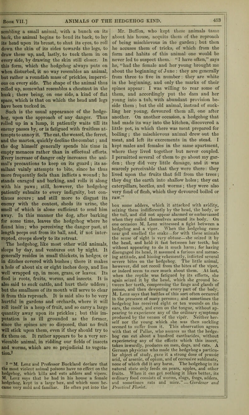 sembling a small animal, with a bunch on its back, the animal begins to bend its back, to lay its head upon its breast, to shut its eyes, to roll down the skin of its sides towards the legs, to draw these up, and, lastly, to tuck them in on every side, by drawing the skin still closer. In this form, which the hedgehog always puts on when disturbed, it no way resembles an animal, but rather a roundish mass of prickles, impervi- ous on every side. The shape of the animal thus rolled up, somewhat resembles a chestnut in the husk; there being, on one side, a kind of flat space, which is that on which the head and legs have been tucked in. Such is the usual appearance of the hedge- hog, upon the approach of any danger. Thus rolled up in a lump, it patiently waits till its enemy passes by, or is fatigued with fruitless at- tempts to annoy it. The cat, the weasel, the ferret, and the marten, quickly decline the combat; and the dog himself generally spends his time in empty menaces rather than in eflfectual efibrts. Every increase of danger only increases the ani- mal’s precautions to keep on its guard; its as- sailant vainly attempts to bite, since he thus more frequently feels than inflicts a wound ; he stands enraged and barking, and rolls it along with his paws; still, however, the hedgehog patiently submits to every indignity, but con- tinues secure; and still more to disgust its enemy with the contest, sheds its urine, the smell of which is alone sufficient to send him away. In this manner the dog, after barking for some time, leaves the hedgehog where he found him ; who j>erceiving the danger past, at length peeps out from its ball, and, if not inter- nipted, creeps slowly to its retreat. The hedgehog, like most other wild animals, sleeps by day, and ventures out by night. It generally resides in small thickets, in hedges, or in ditches covered with bushes ; there it makes a hole of about six or eight inches deep, and lies well wrapped up, in moss, grass, or leaves. Its food is roots, fruits, worms, and insects. It is also said to suck cattle, and hurt their udders ; but the smallness of its mouth will serve to clear it from this reproach. It is said also to be very hurtful in gardens and orchards, where it wiU roll itself in a heap of fruit, and so carry a large quantity away upon its prickles; but this im- putation is as ill grounded as the former, since the spines arc so disposed, that no fruit will stick upon them, even if they should try to fix them on. It rather appears to be a very ser- viceable animal, in ridding our fields of insects and worms, which are so prejudicial to vegeta- tion.2 2 “ M. Leiiz and Professor Buckland declare that the most violent animal poisons have no effect on the hedgehog, which kills and eats adders and vipers. M. Lenz says that he had in his house a female hedgehog, kept in a large bo.x, and which soon be- came very mild and familiar. lie often put into the Mr. Buflbn, who kept these animals tame about his house, acquits them of the reproach of being mischievous in the garden; but then he accuses them of tricks, of which from the form and habits of this animal one would be never led to suspect them. “ I have often,” says he, “had the female and her young brought me about the beginning of June : they are generally from three to five in number: they are white in the beginning, and only the marks of their spines appear: I was willing to rear some of them, and accordingly put the dam and her young into a tub, with abundant provision be- side them ; but the old animal, instead of suck- ling her young, devoured them all, one after another. On another occasion, a hedgehog that had made its way into the kitchen, discovered a little pot, in which there was meat prepared for boiling; the mischievous animal drew out the meat, and left its excrements in the stead. I kept males and females in the same apartment, where they lived together but never coupled. I permitted several of them to go about my gar- den ; they did very little damage, and it was scarcely perceivable that they were there: they lived upon the fruits that fell from the trees; they dug the earth into shallow holes; they eat caterpillars, beetles, and worms ; they were also very fond of flesh, which they devoured boiled or raw.” box some adders, which it attacked with avidity, seizing them indiflerently by the head, the body, or the tail, and did not appear alarmed or embarrassed when they coiled themselves around its body. On one occasion M. Lenz witnessed a fight between a hedgehog and a viper. AVhen the hedgehog came near ^nd smelled the snake—for with these animals the sense of sight is very obtuse—she seized it by the head, and held it fast between her teeth, but wdthout appearing to do it much harm; for having disengaged its head, it assumed a furious and menac- ing attitude, and his.sing vehemently, indicted several severe bites on the hedgehog. The little animal, however, did not recoil from the bites of the viper, or indeed seem to care much about them. At last, when the reptile was fatigued by its efforts, she again seized it by the head, which she ground be- tween her teeth, compressing the fangs and glands of poison, and then devouring every part of the body. M. Lenz says that battles of this sort often occurred in the presence of many persons; and sometimes the hedgehog has received eight or ten wounds on the ears, the snout, and even on the tongue, without ap- pearing to experience any of the ordinary symptomji produced by tlie venom of the viper. Neither her- self nor the young which she was then suckling seemed to suffer from it. This observation agrees with that of Pallas, who assures us that the hedge- hog can eat about a hundred cantharides, without experiencing any of the effects which this insect, taken inwardly, produces on men, dogs, and cats. A German physician who made the hedgehog a particu- lar object of study, gave it a strong dose of prussic acid, of arsenic, of opium, and of corrosive sublimate, none of which did it any harm. The hedgehog in its natural state only feeds on pears, apples, and other fruits. AVhen it can get nothing it likes better, its ordinary food consists of worms, slugs, frogs, adders, and sometimes rats and mice.”—Gardener and Practical Florist.