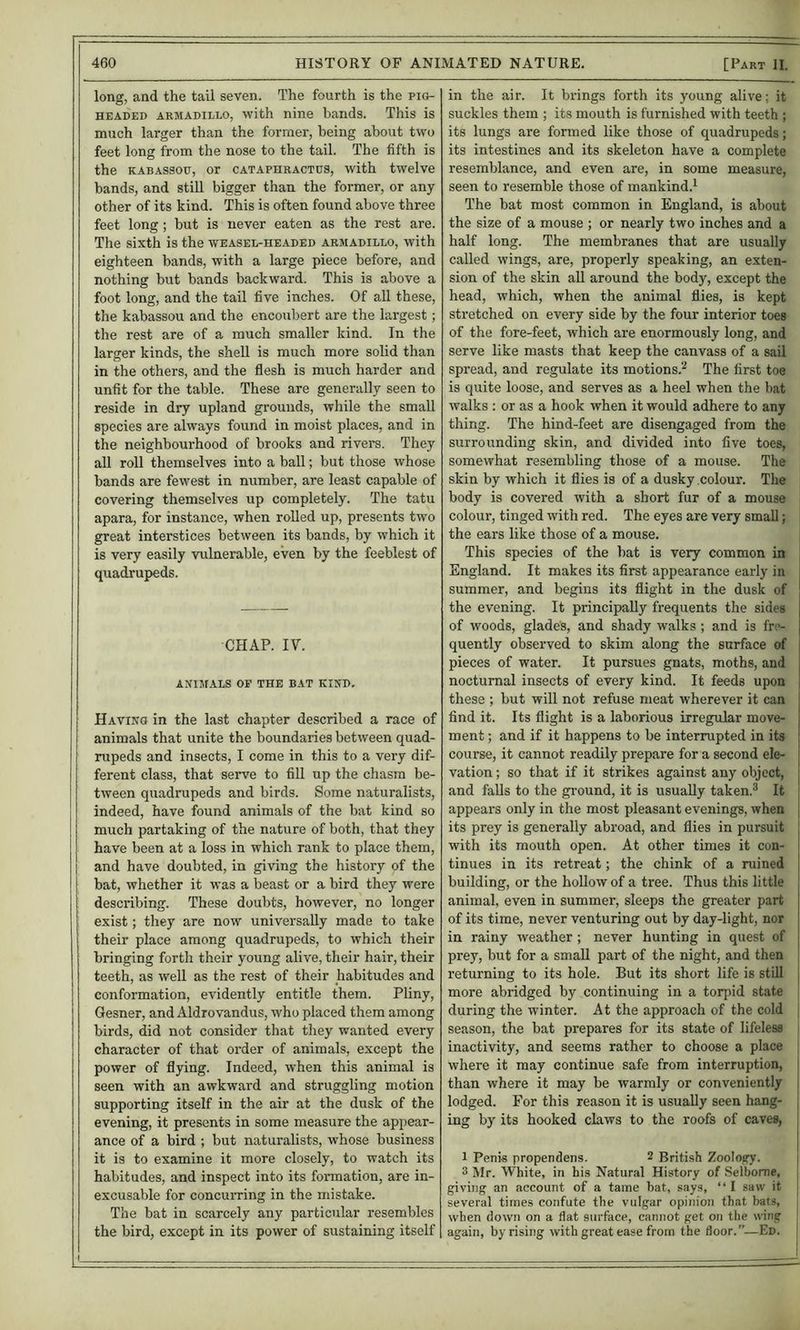 long, and the tail seven. The fourth is the Pio- HEADED ARMADILLO, with nine bands. This is much larger than the former, being about two feet long from the nose to the tail. The fifth is the KABAssoE, or CATAPHRACTOS, with twelve bands, and still bigger than the former, or any other of its kind. This is often found above three feet long; but is never eaten as the rest are. The sixth is the weasel-headed armadillo, with eighteen bands, with a large piece before, and nothing but bands backward. This is above a foot long, and the tail five inches. Of all these, the kabassou and the encoubert are the largest; the rest are of a much smaller kind. In the larger kinds, the shell is much more solid than in the others, and the flesh is much harder and unfit for the table. These are generally seen to reside in dry upland grounds, while the small species are always found in moist places, and in the neighbourhood of brooks and rivers. They all roll themselves into a ball; but those whose bands are fewest in number, are least capable of covering themselves up completely. The tatu apara, for instance, when rolled up, presents two great interstices between its bands, by which it quadrupeds. CHAP. IV. animals op the bat kind. Having in the last chapter described a race of animals that unite the boundaries between quad- rupeds and insects, I come in this to a very dif- ferent class, that serve to fill up the chasm be- tween quadrupeds and birds. Some naturalists, indeed, have found animals of the bat kind so much partaking of the nature of both, that they have been at a loss in which rank to place them, and have doubted, in giving the history of the bat, whether it was a beast or a bird they were describing. These doubts, however, no longer exist; they are now universally made to take their place among quadrupeds, to which their bringing forth their young alive, their hair, their teeth, as well as the rest of their habitudes and conformation, evidently entitle them. Pliny, Gesner, and Aldrovandus, who placed them among birds, did not consider that they wanted every character of that order of animals, except the power of flying. Indeed, when this animal is seen with an awkward and struggling motion supporting itself in the air at the dusk of the evening, it presents in some measure the appear- ance of a bird ; but naturalists, whose business it is to examine it more closely, to watch its habitudes, and inspect into its formation, are in- excusable for concurring in the mistake. The bat in scarcely any particular resembles the bird, except in its power of sustaining itself in the air. It brings forth its young alive: it suckles them ; its mouth is furnished with teeth ; its lungs are formed like those of quadrupeds; its intestines and its skeleton have a complete resemblance, and even are, in some measure, seen to resemble those of mankind.^ The bat most common in England, is about the size of a mouse ; or nearly two inches and a half long. The membranes that are usually called wings, are, properly speaking, an exten- sion of the skin aU around the body, except the head, which, when the animal flies, is kept stretched on every side by the four interior toes of the fore-feet, which are enormously long, and serve like masts that keep the canvass of a sail spread, and regulate its motions.'* The first toe is quite loose, and serves as a heel when the bat walks ; or as a hook when it would adhere to any thing. The hind-feet are disengaged from the surrounding skin, and divided into five toes, somewhat resembling those of a mouse. The skin by which it flies is of a dusky colour. The body is covered with a short fur of a mouse colour, tinged with red. The eyes are very small; the ears like those of a mouse. England. It makes its first appearance early in i summer, and begins its flight in the dusk of the evening. It principally frequents the sides of woods, glades, and shady walks ; and is fre- quently observed to skim along the surface of j pieces of water. It pursues gnats, moths, and nocturnal insects of every kind. It feeds upon these ; but will not refuse meat wherever it can find it. Its flight is a laborious irregular move- ment ; and if it happens to be interrupted in its course, it cannot readily prepare for a second ele- vation ; so that if it strikes against any object, and falls to the ground, it is usually taken.^ It | appears only in the most pleasant evenings, when j its prey is generally abroad, and flies in pursuit with its mouth open. At other times it con- tinues in its retreat; the chink of a ruined building, or the hollow of a tree. Thus this little animal, even in summer, sleeps the greater part of its time, never venturing out by day-light, nor in rainy weather ; never hunting in quest of prey, but for a small part of the night, and then returning to its hole. But its short life is still more abridged by continuing in a torpid state j during the winter. At the approach of the cold j season, the bat prepares for its state of lifeless i inactivity, and seems rather to choose a place where it may continue safe from interruption, than where it may be warmly or conveniently lodged. For this reason it is usually seen hang- ing by its hooked claws to the roofs of caves, 1 Penis propendens. 2 British Zooloery. 3 Mr. White, in his Natural History of Selbome, giving an account of a tame hat, says, “ I saw it several times confute the vulgar opinion that bats, when down on a flat surface, cannot get on the wing again, by rising with great ease from the floor.”—Ed.