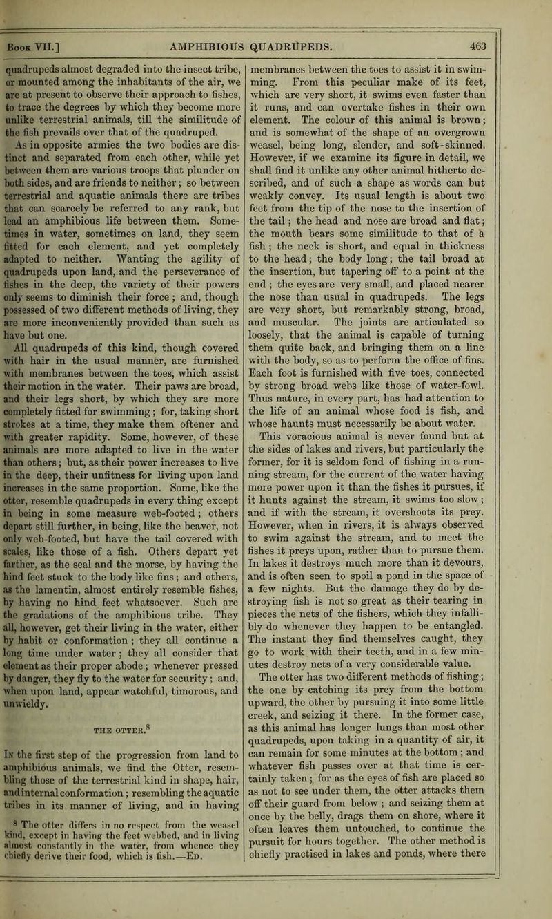 quadrupeds almost degraded into the insect tribe, or mounted among the inhabitants of the air, we are at present to observe their approach to fishes, to trace the degrees by which they become more unlike terrestrial animals, till the similitude of the fish prevails over that of the quadruped. As in opposite armies the two bodies are dis- tinct and separated from each other, while yet between them are various troops that plunder on both sides, and are friends to neither; so between terrestrial and aquatic animals there are tribes that can scarcely be referred to any rank, but lead an amphibious life between them. Some- times in water, sometimes on land, they seem fitted for each element, and yet completely adapted to neither. Wanting the agility of quadrupeds upon land, and the perseverance of fishes in the deep, the variety of their powers only seems to diminish their force ; and, though possessed of two different methods of living, they are more inconveniently provided than such as have but one. All quadrupeds of this kind, though covered with hair in the usual manner, are furnished with membranes between the toes, which assist their motion in the water. Their paws are broad, and their legs short, by which they are more completely fitted for swimming; for, taking short strokes at a time, they make them oftener and with greater rapidity. Some, however, of these animals are more adapted to live in the water than others; but, as their power increases to live in the deep, their unfitness for living upon land increases in the same proportion. Some, like the otter, resemble quadrupeds in every thing except in being in some measure web-footed; others depart still further, in being, like the beaver, not only web-footed, but have the tail covered with scales, like those of a fish. Others depart yet farther, as the seal and the morse, by having the hind feet stuck to the body like fins; and others, as the lamentin, almost entirely resemble fishes, by having no hind feet whatsoever. Such are the gradations of the amphibious tribe. They all, however, get their living in the water, either by habit or conformation ; they all continue a long time under water; they all consider that element as their proper abode; whenever pressed by danger, they fly to the water for security; and, when upon land, appear watchful, timorous, and unwieldy. THE OTTER.*’ I.N the first step of the progression from land to amphibious animals, we find the Otter, resem- bling those of the terrestrial kind in shape, hair, and internal conformation; resembling the aquatic tribes in its manner of living, and in having * The otter differs in no respect from the weasel kind, except in having the feet webbed, and in living almost constantly in the water, from whence they chiefly derive their food, which is fish.—Ed. membranes between the toes to assist it in swim- ming. From this peculiar make of its feet, which are very short, it swims even faster than it runs, and can overtake fishes in their own element. The colour of this animal is brown; and is somewhat of the shape of an overgrown weasel, being long, slender, and soft-skinned. However, if we examine its figure in detail, we shall find it unlike any other animal hitherto de- scribed, and of such a shape as words can but weakly convey. Its usual length is about two feet from the tip of the nose to the insertion of the tail; the head and nose are broad and flat; the mouth bears some similitude to that of a fish ; the neck is short, and equal in thickness to the head; the body long; the tail broad at the insertion, but tapering off to a point at the end ; the eyes are very small, and placed nearer the nose than usual in quadrupeds. The legs are very short, but remarkably strong, broad, and muscular. The joints are articulated so loosely, that the animal is capable of turning them quite back, and bringing them on a line with the body, so as to perform the office of fins. Each foot is furnished with five toes, connected by strong broad webs like those of water-fowl. Thus nature, in every part, has had attention to the life of an animal whose food is fish, and whose haunts must necessarily be about water. This voracious animal is never fonnd but at the sides of lakes and rivers, but particularly the former, for it is seldom fond of fishing in a run- ning stream, for the current of the water having more power upon it than the fishes it pursues, if it hunts against the stream, it swims too slow; and if with the stream, it overshoots its prey. However, when in rivers, it is always observed to swim against the stream, and to meet the fishes it preys upon, rather than to pursue them. In lakes it destroys much more than it devours, and is often seen to spoil a pond in the space of a few nights. But the damage they do by de- stroying fish is not so great as their tearing in pieces the nets of the fishers, which they infalli- bly do whenever they happen to be entangled. The instant they find themselves caught, they go to work with their teeth, and in a few min- utes destroy nets of a very considerable value. The otter has two different methods of fishing; the one by catching its prey from the bottom upward, the other by pursuing it into some little creek, and seizing it there. In the former case, as this animal has longer lungs than most other quadrupeds, upon taking in a quantity of air, it can remain for some minutes at the bottom ; and whatever fish passes over at that time is cer- tainly taken;, for as the eyes of fish are placed so as not to see under them, the otter attacks them off their guard from below ; and seizing them at once by the belly, drags them on shore, where it often leaves them untouched, to continue the pursuit for hours together. The other method is chiefly practised in lakes and ponds, where there
