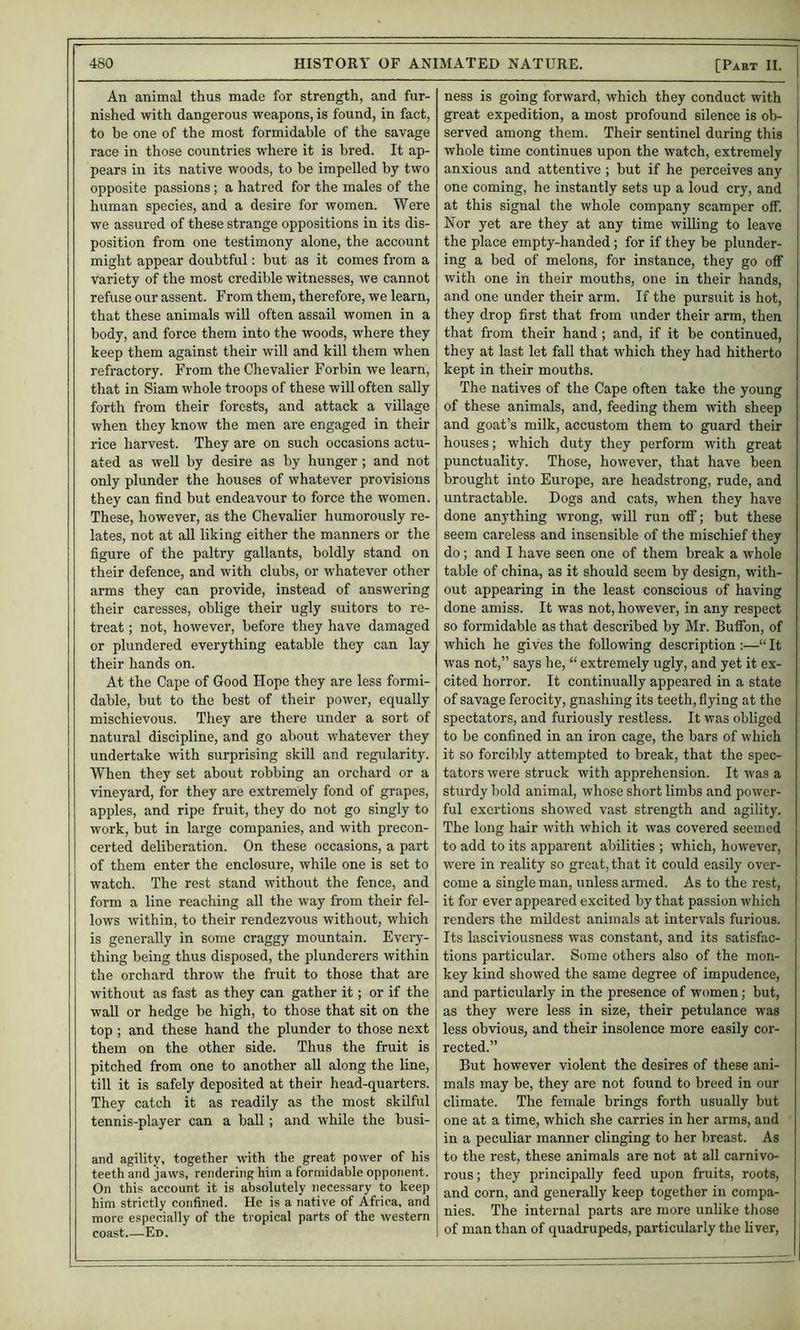 nished with dangerous weapons, is found, in fact, to be one of the most formidable of the savage race in those countries where it is bred. It ap- pears in its native woods, to be impelled by two human species, and a desire for women. Were we assured of these strange oppositions in its dis- position from one testimony alone, the account might appear doubtful; but as it comes from a variety of the most credible witnesses, we cannot refuse our assent. From them, therefore, we learn, that these animals will often assail women in a body, and force them into the woods, where they keep them against their will and kill them when refractory. From the Chevalier Forbin we learn, that in Siam whole troops of these will often sally forth from their forests, and attack a village when they know the men are engaged in their rice harvest. They are on such occasions actu- ated as well by desire as by hunger ; and not only plunder the houses of whatever provisions they can find but endeavour to force the women. These, however, as the Chevalier humorously re- lates, not at all liking either the manners or the figure of the paltry gallants, boldly stand on their defence, and with clubs, or whatever other arms they can provide, instead of answering their caresses, oblige their ugly suitors to re- treat ; not, however, before they have damaged or plundered everything eatable they can lay their hands on. At the Cape of Good Hope they are less formi- dable, but to the best of their power, equally mischievous. They are there under a sort of natural discipline, and go about whatever they undertake with surprising skill and regularity. When they set about robbing an orchard or a vineyard, for they are extremely fond of grapes, apples, and ripe fruit, they do not go singly to work, but in large companies, and with precon- certed deliberation. On these occasions, a part of them enter the enclosure, while one is set to watch. The rest stand without the fence, and form a line reaching all the way from their fel- lows within, to their rendezvous without, which is generally in some craggy mountain. Every- thing being thus disposed, the plunderers within the orchard throw the fruit to those that are without as fast as they can gather it; or if the wall or hedge be high, to those that sit on the top ; and these hand the plunder to those next them on the other side. Thus the fruit is pitched from one to another all along the line, till it is safely deposited at their head-quarters. They catch it as readily as the most skilful tennis-player can a ball; and while the busi- and agility, together with the great power of his teeth and jaws, rendering him a formidable opponent. On this account it is absolutely necessary to keep him strictly confined. He is a native of Africa, and more especially of the tropical parts of the western coast.—Ed. great expedition, a most profound silence is ob- served among them. Their sentinel during this whole time continues upon the watch, extremely anxious and attentive ; but if he perceives any at this signal the whole company scamper off. Nor yet are they at any time willing to leave the place empty-handed; for if they be plunder- ing a bed of melons, for instance, they go off with one in their mouths, one in their hands, and one under their arm. If the pursuit is hot, they drop first that from under their arm, then that from their hand ; and, if it be continued, they at last let fall that which they had hitherto kept in their mouths. The natives of the Cape often take the young of these animals, and, feeding them with sheep and goat’s milk, accustom them to guard their houses; which duty they perform with great punctuality. Those, however, that have been brought into Europe, are headstrong, rude, and untractable. Dogs and cats, when they have done anything wrong, will run off; but these seem careless and insensible of the mischief they do; and I have seen one of them break a whole table of china, as it should seem by design, with- out appearing in the least conscious of having done amiss. It was not, however, in any respect so formidable as that described by Mr. Buffon, of which he gives the following description :—“ It was not,” says he, “ extremely ugly, and yet it ex- cited horror. It continually appeared in a state of savage ferocity, gnashing its teeth, flying at the spectators, and furiously restless. It was obliged to be confined in an iron cage, the bars of which it so forcibly attempted to break, that the spec- tators were struck with apprehension. It was a sturdy bold animal, whose short limbs and power- ful exertions showed vast strength and agility. The long hair with which it was covered seemed to add to its apparent abilities ; which, however, were in reality so great, that it could easily over- come a single man, unless armed. As to the rest, it for ever appeared excited by that passion which renders the mildest animals at intervals furious. Its lasciviousness was constant, and its satisfac- tions particular. Some others also of the mon- key kind showed the same degree of impudence, and particularly in the presence of women; but, as they were less in size, their petulance was less obvious, and their insolence more easily cor- rected.” But however violent the desires of these ani- mals may be, they are not found to breed in our climate. The female brings forth usually but one at a time, which she carries in her arms, and in a peculiar manner clinging to her breast. As to the rest, these animals are not at all carnivo- rous; they principally feed upon fruits, roots, and corn, and generally keep together in compa- nies. The internal parts are more unlike those of man than of quadrupeds, particularly the liver.