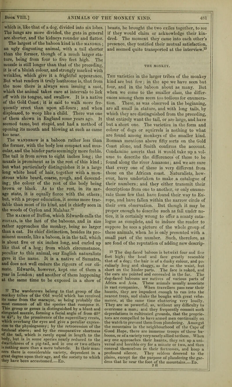 which is, like that of a dog, divided into six lobes. The lungs are more divided, the guts in general are shorter, and the kidneys rounder and flatter. The largest of the baboon kind is the mandeii.; an ugly disgusting animal, with a tail shorter than the former, though of a much larger sta- ture, being from four to five feet high. The muzzle is still longer than that of the preceding, it is of a bluish colour, and strongly marked with wrinkles, which give it a frightful appearance. But what renders it truly loathsome is, that from the nose there is always seen issuing a snot, which the animal takes care at intervals to hck off with its tongue, and swallow. It is a native of the Gold Coast; it is said to walk more fre- quently erect than upon all-fours; and when displeased, to weep like a child. There was one of them shown in England some years ago. It seemed tame, but stupid, and had a method of opening its mouth and blowing at such as came too near. The WANDEROW is a baboon rather less than the former, with the body less compact and mus- cular, and the hinder parts seemingly more feeble. The tail is from seven to eight inches long; the muzzle is prominent as in the rest of this kind ; but what particularly distinguishes it is a large long white head of hair, together with a mon- strous white beard, coarse, rough, and descend- ing; the colour of the rest of the body being brown or black. As to the rest, in its sav- age state, it is equally fierce with the others; but, with a proper education, it seems more trac- table than most of its kind, and is chiefly seen in the woods of Ceylon and Malabar.^^ The MAiMON of Buffon, which Edwards calls the PIGTAIL, is the last of the baboons, and in size rather approaches the monkey, being no larger than a cat. Its chief distinction, besides its pro- minent muzzle, like a baboon, is in the tail, which is about five or six inches long, and curled up like that of a hog; from which circumstance, peculiar to this animal, our English naturalists gave it the name. It is a native of Sumatra, and does not well endure the rigours of our cli- mate. Edwards, however, kept one of them a year in London; and another of them happening at the same time to be exposed in a show of ’2 The wamlerows belong to that group of the monkey tribes of the Old world which has received its name from the macaque, as being probably the most common of all the species that compose it. This group or genus is distinguished by a blunt and elongated muzzle, forming a facial angle of from 40^ to 45°; by the prominence of the superciliary crests, lyhich overhang the eyes and give a peculiar e.xpres- sion to the physiognomy; by the retrocession of the forehead above; and by the comparative shortness of the tail, which is rarely equal in length to the body, but is in some species nearly reduced to the dwarfishness of a pig-tail, and in one or two others is nothing more than a mere tubercle. In their man- ners there is considerable variety, dependent in a great degree upon their age, and the society to which they have been accustomed Eu. beasts, he brought the two exiles together, to see if they would claim or acknowledge their kin- dred. The moment they came into each other’s presence, they testified their mutual satisfaction, and seemed quite transported at the interview.^^ THE MONKEY. The varieties in the larger tribes of the monkey kind are but few ; in the ape we have seen but four, and in the baboon about as many. But when we come to the smaller class, the differ- ences among them seem too tedious for enumera- tion. These, as was observed in the beginning, are all small in stature, and with long tails, by which they are distinguished from the preceding, that entirely want the tail, or are large, and have but a short one. The varieties in the form and colour of dogs or squirrels is nothing to what are found among monkeys of the smaller kind. Bosman mentions above fifty sorts on the Gold Coast alone, and Smith confirms the account. Condamine asserts that it would take up a vol- ume to describe the differences' of these to be found along the river Amazons; and we are sure that every one of these is very different from those on the African coast. Naturalists, how- ever, have undertaken to make a catalogue of their numbers; and they either transmit their descriptions from one to another, or only enume- rate those few that have found their way to Eu- rope, and have fallen within the narrow circle of their own observation. But though it may be proper enough to describe such as fall undeT no- tice, it is certainly wrong to offer a scanty cata- logue as complete, and to induce the reader to suppose he sees a picture of the whole group of these animals, when he is only presented with a small part of the number. Such, therefore, as are fond of the reputation of adding new descrip- 13 The dog-faced baboon is betwixt four and five feet high; the head and face greatly resemble that of a dog; the hair is of a dusky colour, and pe- culiarly long and shaggy, as far as the waist, but short on the hinder parts. The face is naked, and the ears are pointed and concealed in the fur. The dog-faced baboons are natives of various parts of Africa and Asia. These animals usually associate in vast companies. When travellers pass near their haunts, they are impudent enough to run into the nearest trees, and shake the boughs with great vehe- mence, at the same time chattering very loudly. They are so powerful, as, without any difficulty to overcome a man; and they frequently commit such depredations in cultivated grounds, that the proprie- tors are compelled to have armed men continually on the watch to prevent them from plundering. Araoi:gst the mountains in the neighbourhood of the Cape of Good Hope, there are immense troops of these ba- boons, or of a variety very nearly allied to them. When any one approaches their haunts, they set up a uni- versal and horrible cry for a mii.ute or two, and then conceal themselves in their fortresses, and keep a profound silence. They seldom descend to the plains, except for the purpose of plundering the gar- dens that lie near the foot of the mountains. Ed. 2 H