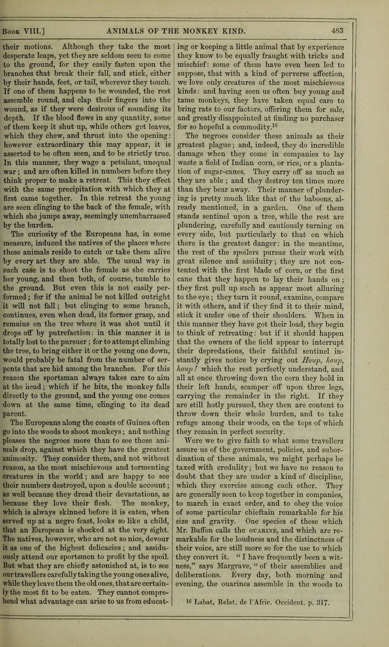 their motions. Although they take the most desperate leaps, yet they are seldom seen to come to the ground, for they easily fasten upon the branches that break their fall, and stick, either by their hands, feet, or tail, wherever they touch. If one of them happens to bo wounded, the rest assemble round, and clap their fingers into the wound, as if they were desirous of sounding its depth. If the blood flows in any quantity, some of them keep it shut up, while others get leaves, which they chew, and thrust into the opening: however extraordinary this may appear, it is asserted to be often seen, and to be strictly true. In this manner, they wage a petulant, unequal war; and are often killed in numbers before they think proper to make a retreat. This they efiect with the same precipitation with which they at first came together. In this retreat the young are seen clinging to the back of the female, with which she jumps away, seemingly unembarrassed by the burden. The curiosity of the Europeans has, in some measure, induced the natives of the places where these animals reside to catch or take them alive by every art they are able. The usual way in such case is to shoot the female as she carries her young, and then both, of course, tumble to the ground. But even this is not easily per- formed ; for if the animal be not killed outright it will not fall; but clinging to some branch, continues, even when dead, its former grasp, and remains on the tree where it was shot until it drops oflT by putrefaction; in this manner it is totally lost to the pursuer; for to attempt climbing the tree, to bring either it or the young one down, would probably be fatal from the number of ser- pents that are hid among the branches. For this reason the sportsman always takes care to aim at the head; which if he hits, the monkey falls directly to the ground, and the young one comes down at the same time, clinging to its dead parent. The Europeans along the coasts of Guinea often go into the woods to shoot monkeys; and nothing pleases the negroes more than to see those ani- mals drop, against which they have the greatest animosity. They consider them, and not without reason, as the most mischievous and tormenting creatures in the world; and are happy to see their numbers destroyed, upon a double account; as well because they dread their devastations, as because they love their flesh. The monkey, which is always skinned before it is eaten, when served up at a negro feast, looks so like a child, that an European is shocked at the very sight. The natives, however, who are not so nice, devour it as one of the highest delicacies ; and assidu- ously attend our sportsmen to profit by the spoil. But what they are chiefly astonished at, is to see ourtravellcrs carefully takingthe young ones alive, while they leave them the old ones, that are certain- ly the most fit to be eaten. They cannot compre- ing or keeping a little animal that by experience they know to be equally fraught with tricks and mischief: some of them have even been led to suppose, that with a kind of perverse affection, we love only creatures of the most mischievous kinds: and having seen us often buy young and tame monkeys, they have taken equal care to bring rats to our factors, offering them for sale, and greatly disappointed at finding no purchaser for so hopeful a commodity.^® The negroes consider these animals as their greatest plague; and, indeed, they do incredible damage when they come in companies to lay waste a field of Indian corn, or rice, or a planta- tion of sugar-canes. They carry off as much as they are able ; and they destroy ten times more than they bear away. Their manner of plunder- ing is pretty much like that of the baboons, al- ready mentioned, in a garden. One of them stands sentinel upon a tree, while the rest are plundering, carefully and cautiously turning on every side, but particularly to that on which there is the greatest danger: in the meantime, the rest of the spoilers pursue their work with great silence and assiduity; they are not con- tented with the first blade of corn, or the first cane that they happen to lay their hands on; they first pull up such as appear most alluring to the eye; they turn it round, examine, compare it with others, and if they find it to their mind, stick it under one of their shoulders. When in this manner they have got their load, they begin to think of retreating: but if it should happen that the owners of the field appear to interrupt their depredations, their faithful sentinel in- stantly gives notice by crying out Houp, houp, houp ! which the rest perfectly understand, and all at once throwing down the corn they hold in their left hands, scamper off upon three legs, carrying the remainder in the right. If they are still hotly pursued, they then are content to throw down their whole burden, and to take refuge among their woods, on the tops of which they remain in perfect security. Were we to give faith to what some travellers assure us of the government, policies, and subor- dination of these animals, we might perhaps be taxed with credulity; but we have no reason to doubt that they are under a kind of discipline, which they exercise among each other. They are generally seen to keep together in companies, to march in exact order, and to obey the voice of some particular chieftain remarkable for his size and gravity. One species of these which Mr. Buffon calls the ouarine, and which are re- markable for the loudness and the distinctness of their voice, are still more so for the use to which they convert it. “ I have frequently been a wit- ness,” says Margrave, “ of their assemblies and deliberations. Every day, both morning and evening, the ouarines assemble in the woods to