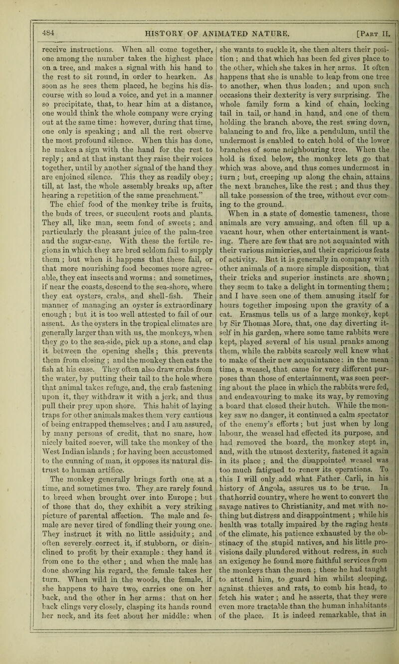 receive instructions. When all come together, one among the number takes the highest place on a tree, and makes a signal with his hand to the rest to sit round, in order to hearken. As soon as he sees them placed, he begins his dis- course with so loud a voice, and yet in a manner so precipitate, that, to hear him at a distance, one would think the whole company were crying out at the same time: however, dtiring that time, one only is speaking; and all the rest observe the most profound silence. When this has done, he makes a sign with the hand for the rest to reply; and at that instant they raise their voices together, until by another signal of the hand they are enjoined silence. This they as readily obey; till, at last, the whole assembly breaks up, after hearing a repetition of the same preachment.” The chief food of the monkey tribe is fruits, the buds of trees, or succulent roots and plants. They all, like man, seem fond of sweets and particularly the pleasant juice of the palm-tree and the sugar-cane. With these the fertile re- gions in which they are bred seldom fail to supply them ; but when it happens that these fail, or that more nourishing food becomes more agree- able, they eat insects and worms: and sometimes, j if near the coasts, descend to the sea-shore, where they eat oysters, crabs, and shell-fish. Their manner of managing an oyster is extraordinary 1 enough ; but it is too well attested to fail of our j assent. As the oysters in the tropical climates are ' generally larger than with us, the monkeys, when ! they go to the sea-side, pick up a stone, and clap 1 it between the opening shells; this prevents 1 them from closing ; and the monkey then eats the j fish at his ease. They often also draw crabs from the water, by putting their tail to the hole where j that animal takes refuge, and, the crab fastening 1 upon it, they withdraw it with a jerk, and thus i pull their prey upon shore. This habit of laying traps for other animals makes them very cautious of being entrapped themselves; and 1 am assured, by many persons of credit, that no snare, how j nicely baited soever, will take the monkey of the West Indian islands : for having been accustomed 1 ^ 1 to the cunning of man, it opposes its natural dis- trust to human artifice. The monkey generally brings forth one at a time, and sometimes two. They are rarely found to breed when brought over into Europe ; but of those that do, they exhibit a very striking picture of parental affection. The male and fe- male are never tired of fondling their young one. They instruct it with no little assiduity; and often severely correct it, if stubborn, or disin- clined to profit by their example : they hand it from one to the other ; and when the male has done showing his regard, the female takes her turn. When wild in the woods, the female, if j she happens to have two, carries one on her 1 back, and the other in her arms: that on her 1 back clings very closely, clasping its hands round her neck, and its feet about her middle: when she wants to suckle it, she then alters their posi- tion ; and that which has been fed gives place to the other, which she takes in her arms. It often happens that she is unable to leap from one tree to another, when thus loaden; and upon such occasions their dexterity is very surprising. The whole family form a kind of chain, locking tail in tail, or hand in hand, and one of them holding the branch above, the rest swing down, balancing to and fro, like a pendulum, until the undermost is enabled to catch hold of the lower branches of some neighbouring tree. When the hold is fixed below, the monkey lets go that which was above, and thus comes undermost in turn; ljut, creeping up along the chain, attains the next branches, like the rest ; and thus they aU take possession of the tree, without ever com- ing to the ground. When in a state of domestic tameness, those animals are very amusing, and often fill up a vacant hour, when other entertainment is want- ing. There are few that are not acquainted with their various mimicries, and their capricious feats of activity. But it is generally in company with other animals of a more simple disposition, that their tricks and superior instincts are shown; they seem to take a delight in tormenting them; and I have seen one of them amusing itself for hours together imposing upon the gravity of a cat. Erasmus teUs us of a large monkey, kept by Sir Thomas More, that, one day diverting it- self in his garden, where some tame rabbits were kept, played several of his usual pranks among them, while the rabbits scarcely well knew what to make of their new acquaintance: in the mean ’ time, a weasel, that came for very different pur- poses than those of entertainment, was seen peer- ing about the place in which the rabbits were fed, and endeavouring to make its way, by removing a board that closed their hutch. While the mon- key saw no danger, it continued a calm spectator of the enemy’s efforts ; but just when by long labour, the weasel had effected its purpose, and had removed the board, the monkey stcpt in, and, with the utmost dexterity, fastened it again in its place ; and the disappointed weasel was too much fatigued to renew its operations. To this I will only add what Father Carli, in his history of Angola, assures us to be true. In that horrid country, where he went to convert the savage natives to Christianity, and met with no- thing but distress and disappointment ; while his health was totally impaired by the raging heats of the climate, his patience exhausted by the ob- stinacy of the stupid natives, and his little pro- visions daily plundered without redress, in such an exigency he found more faithful services from the monkeys than the men ; these he had taught to attend him, to guard him whilst sleeping, against thieves and rats, to comb his head, to fetch his water ; and he asserts, that they were even more tractable than the human inhabitants of the place. It is indeed remarkable, that in