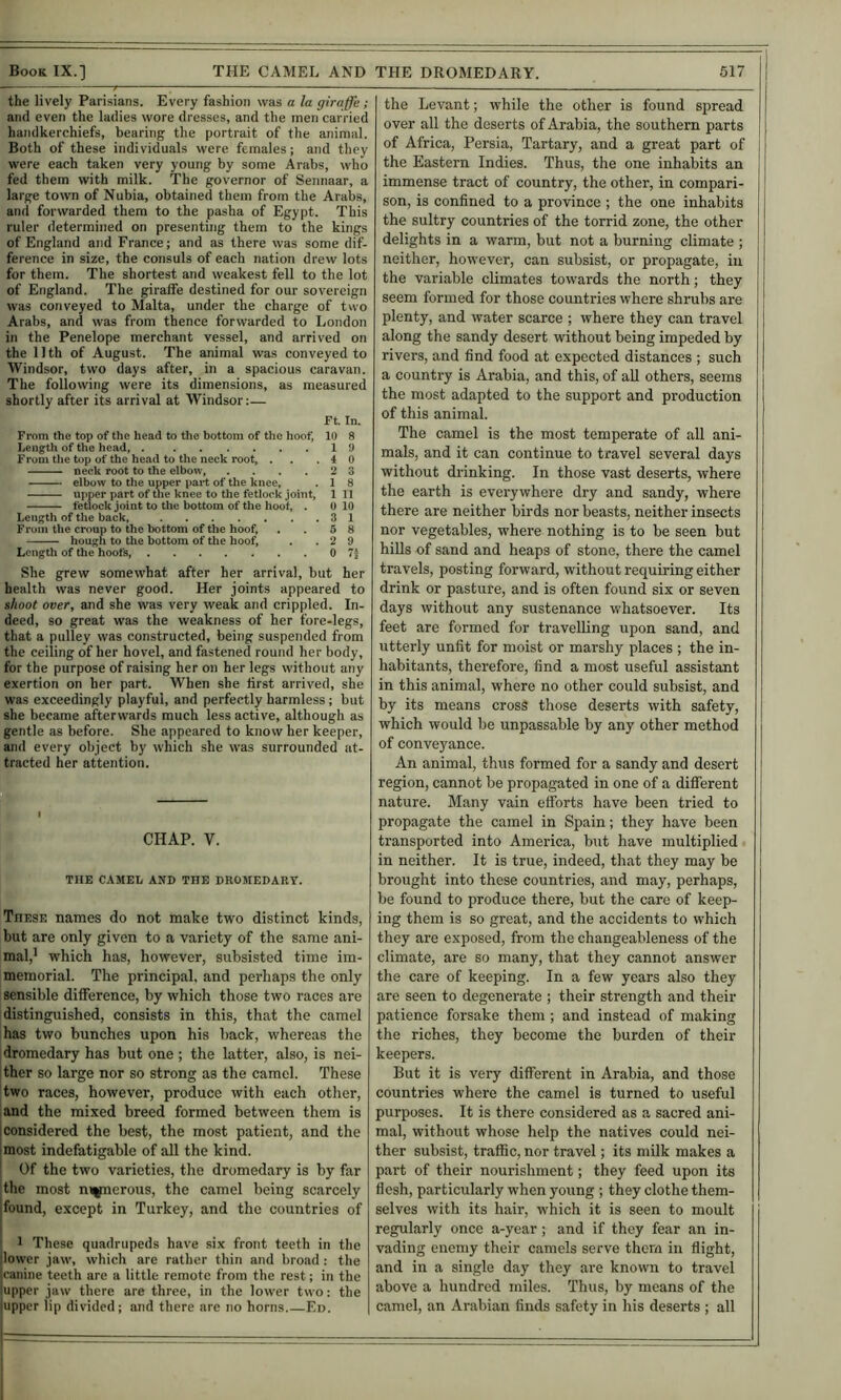 Book IX.] THE CAMEL AND the lively Parisians. Every fashion was a la giraffe; and even the ladies wore dresses, and the men carried handkerchiefs, bearing the portrait of the animal. Both of these individuals were females; and they were each taken very young by some Arabs, who fed them with milk. The governor of Sennaar, a large town of Nubia, obtained them from the Arabs, and forwarded them to the pasha of Egypt. This ruler determined on presenting them to the kings of England and France; and as there was some dif- ference in size, the consuls of each nation drew lots for them. The shortest and weakest fell to the lot of England. The giraffe destined for our sovereign was conveyed to Malta, under the charge of two Arabs, and was from thence forwarded to London in the Penelope merchant vessel, and arrived on the 11th of August. The animal was conveyed to Windsor, two days after, in a spacious caravan. The following were its dimensions, as measured shortly after its arrival at Windsor:— Ft. In. From the top of the head to the bottom of the hoof 10 8 Length of the head, 19 From tlie top of the head to the neck root, . . .40 neck root to the elbow, .... 2 3 elbow to the upper part of the knee, . 1 8 upper part of the knee to the fetlock .joint, 1 11 fetlock joint to the bottom of the hoof, . 0 10 Length of the back, 3 1 From the croup to the bottom of the hoof, . . 5 8 hough to the bottom of the hoof, . .29 Length of the hoofs 0 7| She grew somewhat after her arrival, but her health was never good. Her .joints appeared to shoot over, and she was very weak and crippled. In- deed, so great was the weakness of her fore-legs, that a pulley was constructed, being suspended from the ceiling of her hovel, and fastened round her body, for the purpose of raising her on her legs without any exertion on her part. When she first arrived, she was exceedingly playful, and perfectly harmless; but she became afterwards much less active, although as gentle as before. She appeared to know her keeper, and every object by which she was surrounded at- tracted her attention. CHAP. V. THE CAMEL AND THE DROMEDARY. These names do not make two distinct kinds, but are only given to a variety of the same ani- mal,' which has, however, subsisted time im- memorial. The principal, and perhaps the only sensible difference, by which those two races are distinguished, consists in this, that the camel has two bunches upon his hack, whereas the dromedary has but one ; the latter, also, is nei- ther so large nor so strong as the camel. These two races, however, produce with each other, and the mixed breed formed between them is [considered the best, the most patient, and the imost indefatigable of all the kind. ' Of the two varieties, the dromedary is by far the most m^pierous, the camel being scarcely jfound, except in Turkey, and the countries of I ' 1 These quadrupeds have six front teeth in the ilower jaw, which are rather thin and broad: the canine teeth are a tittle remote from the rest; in the upper jaw there are three, in the lower two: the upper lip divided; and there are no horns Ei>. THE DROMEDARY. 517 the Levant; while the other is found spread over all the deserts of Arabia, the southern parts of Africa, Persia, Tartary, and a great part of the Eastern Indies. Thus, the one inhabits an immense tract of country, the other, in compari- son, is confined to a province ; the one inhabits the sultry countries of the torrid zone, the other delights in a warm, but not a burning climate ; neither, however, can subsist, or propagate, in the variable cUmates towards the north; they seem formed for those countries where shrubs are plenty, and water scarce ; where they can travel along the sandy desert without being impeded by rivers, and find food at expected distances ; such a country is Arabia, and this, of all others, seems the most adapted to the support and production of this animal. The camel is the most temperate of all ani- mals, and it can continue to travel several days without drinking. In those vast deserts, where the earth is everywhere dry and sandy, where there are neither birds nor beasts, neither insects nor vegetables, where nothing is to be seen but hiUs of sand and heaps of stone, there the camel travels, posting forward, without requiring either drink or pasture, and is often found six or seven days without any sustenance whatsoever. Its feet are formed for travelling upon sand, and utterly unfit for moist or marshy places ; the in- habitants, therefore, find a most useful assistant in this animal, where no other could subsist, and by its means cross those deserts with safety, which would be unpassable by any other method of conveyance. An animal, thus formed for a sandy and desert region, cannot be propagated in one of a different nature. Many vain efforts have been tried to propagate the camel in Spain; they have been transported into America, but have multiplied in neither. It is true, indeed, that they may be brought into these countries, and may, perhaps, be found to produce there, but the care of keep- ing them is so great, and the accidents to which they are exposed, from the changeableness of the climate, are so many, that they cannot answer the care of keeping. In a few years also they are seen to degenerate ; their strength and their patience forsake them; and instead of making the riches, they become the burden of their keepers. But it is very different in Arabia, and those countries where the camel is turned to useful purposes. It is there considered as a sacred ani- mal, without whose help the natives could nei- ther subsist, traffic, nor travel; its milk makes a part of their nourishment; they feed upon its flesh, particularly when young ; they clothe them- selves with its hair, which it is seen to moult regularly once a-year; and if they fear an in- vading enemy their camels serve them in flight, and in a single day they are known to travel above a hundred miles. Thus, by means of the camel, an Arabian finds safety in his deserts ; all