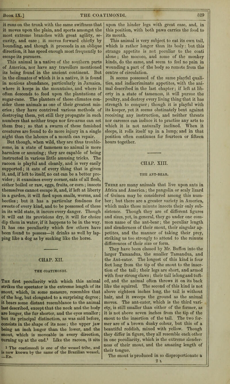 it runs on the trunk with the same swiftness that it moves upon the plain, and sports amongst the most extreme branches with great agility, se- curity, and ease ; it moves forward chiefly by hounding, and though it proceeds in an oblique direction, it has speed enough most frequently to escape its pursuers. This animal is a native of the southern parts of America, nor have any travellers mentioned its being found in the ancient continent. But in the climates of which it is a native, it is found in noxious abundance, particularly in Jamaica, where it keeps in the mountains, and where it often descends to feed upon the plantations of sugar-cane. The planters of these climates con- sider these animals as one of their greatest mis- eries ; they have contrived various methods of destroying them, yet still they propagate in such numbers that neither traps nor fire-arms can set them free; so that a swarm of these famished creatures are found to do more injury in a single night than the labours of a month can repair. But though, when wild, they are thus trouble- some, in a state of tameness no animal is more harmless or amusing; they are capable of being instructed in various little amusing tricks. The racoon is playful and cleanly, and is very easily supported; it eats of every thing that is given it, and, if left to itself, no cat can he a better pro- vider ; it examines every corner, eats of aU flesh, either boiled or raw, eggs, fruits, or corn; insects themselves cannot escape it, and, if left at liberty in a garden, it will feed upon snails, worms, and beetles; but it has a particular fondness for sweets of every kind, and to be possessed of these in its wild state, it incurs every danger. Though it will eat its provisions dry, it will for choice dip them in water, if it happens to he in the way. It has one peculiarity which few others have been found to possess—it drinks as well by lap- ping like a dog as by sucking like the horse. CHAP. XII. THE COATIMONDI. The first peculiarity with which this animal strikes the spectator is the extreme length of its snout, which, in some measure, resembles that of the hog, but elongated to a surprising degree; it bears some distant resemblance to the animal last described, except that the neck and the body are longer, the fur shorter, and the eyes smaller; but its principal distinction, as was said before, consists in the shape of its nose; the upper jaw being an inch longer than the lower, and the snout, which is moveable in every direction, turning up at the end.^ Like the racoon, it sits 1 The coatimondi is one of the weasel trihe, and is now known by the name of the Brazilian weasel. —Ed. upon the hinder legs with great ease, and, in this position, with both paws carries the food to its mouth. This animal is very subject to eat its own tail, which is rather longer than its body: but this strange appetite is not peculiar to the coati alone ; the mococo, and some of the monkey kinds, do the same, and seem to feel no pain in wounding a part of the body so remote from the centre of circulation. It seems possessed of the same playful quali- ties, and indiscriminate appetites, with the ani- mal described in the last chapter; if left at lib- erty in a state of tameness, it will pursue the poultry, and destroy every hving thing that it has strength to conquer; though it is playful with its keeper, yet it seems obstinately bent against receiving any instruction, and neither threats nor caresses can induce it to practise any arts to which it is not naturally inchned. When it sleeps, it rolls itself up in a lump; and in that position often continues for fourteen or fifteen hours together. CHAP. XIII. THE ANT-BEAR. There are many animals that live upon ants in Africa and America; the pangolin or scaly lizard of Guinea may be considered among this num- ber ; but there are a greater variety in America, which make those minute insects their only sub- sistence. Though they are of different figures and sizes, yet, in general, they go under one com- mon name of the ant-bear; the peculiar length and slenderness of their snout, their singular ap- petites, and the manner of taking their prey, striking us too strongly to attend to the minute differences of their size or form. They have been classed by Mr. Buffon into the larger Tamandua, the smaller Tamandua, and the Ant-eater. The longest of this kind is four feet long from the tip of the snout to the inser- tion of the tail; their legs are short, and armed with four strong claws; their tail is long and tuft- ed, and the animal often throws it on its back like the squirrel. The second of this kind is not above eighteen inches long, the tail is without hair, and it sweeps the ground as the animal moves. The ant-eater, which is the third vari- ety, is still smaller than either of the former, as it is not above seven inches from the tip of the snout to the insertion of the tail. The two for- mer are of a brown dusky colour, but this of a beautiful reddish, mixed with yellow. Though they differ in figure, they all resemble each other in one peculiarity, which is the extreme slender- ness of their snout, and the amazing length of their tongue. The snout is produced in so disproportionate a 2 L