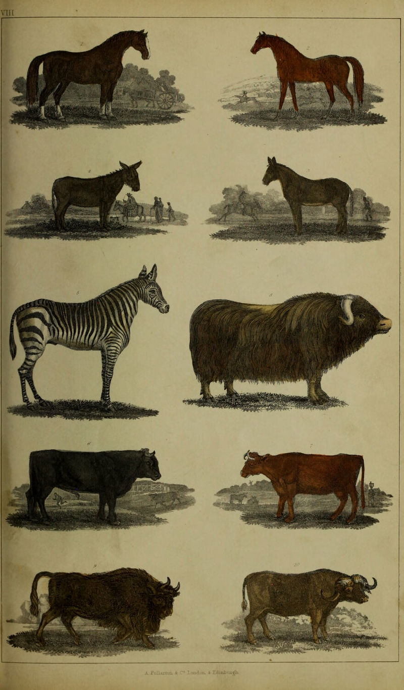 \llt I ondui. A £dinb\ugh