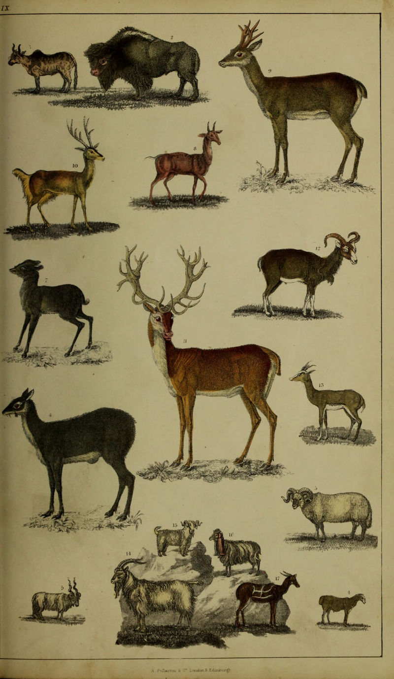 IX A * -** Edinburgh