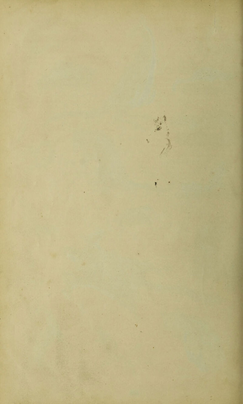 •V L‘' -y \. ** ' ' j.