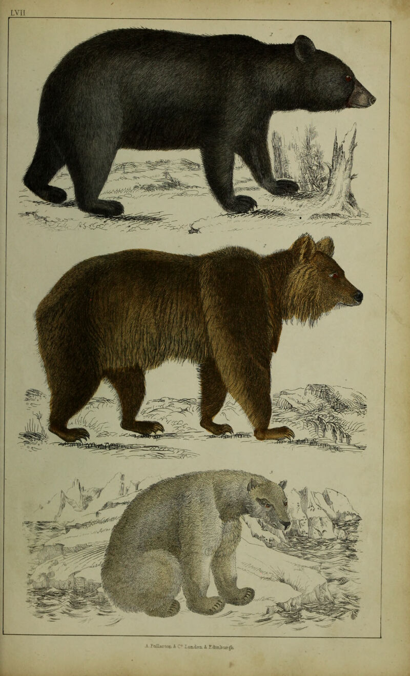 L i A FnJLai toti. A C Londoa A Kdiiibur^