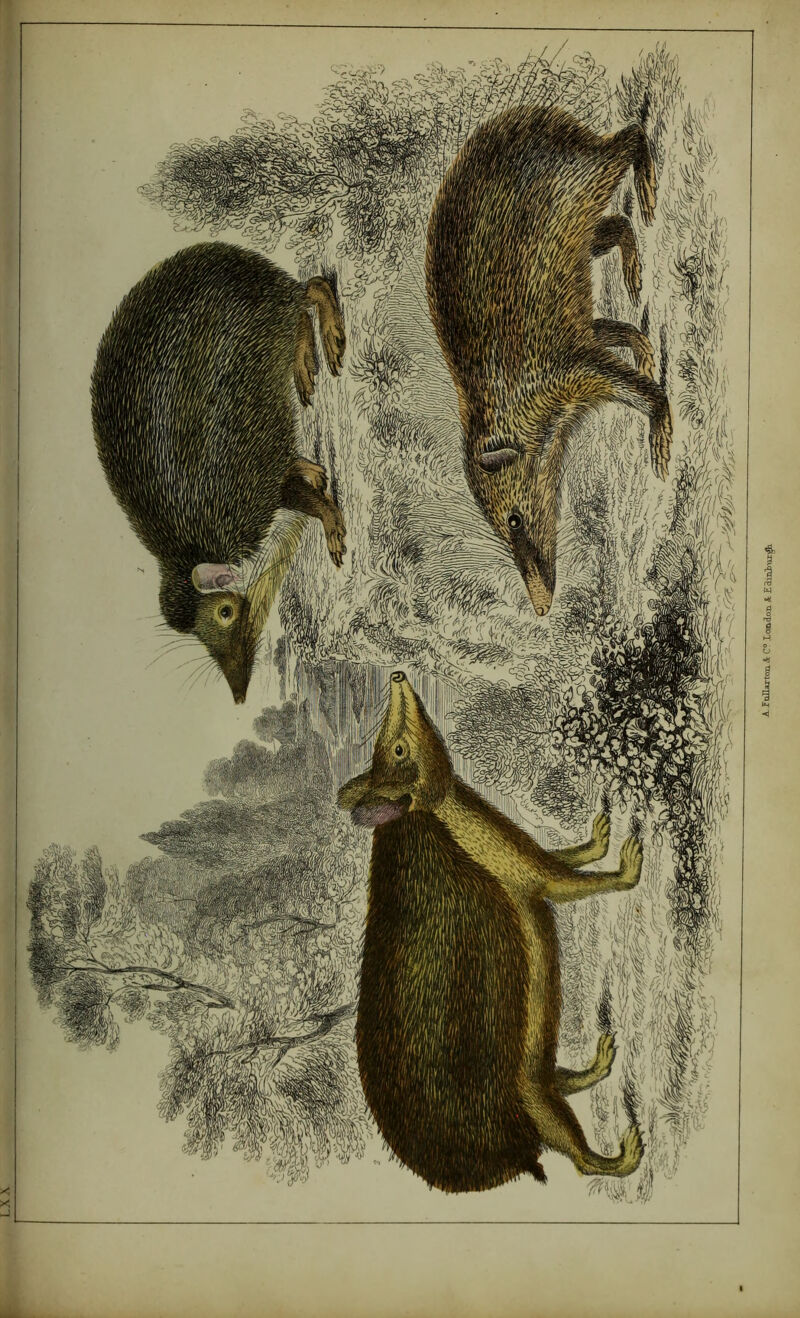 ^ rnllarton A C? London ic Edminu