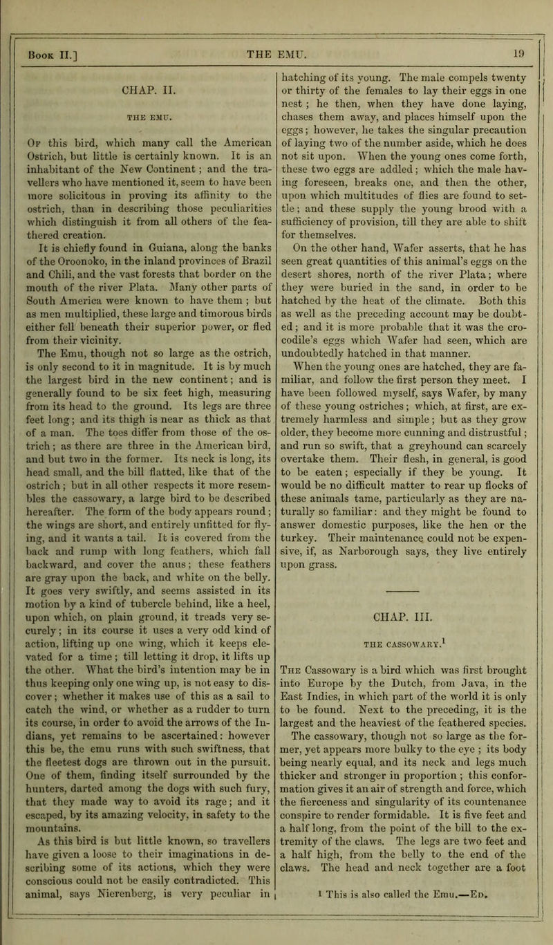 CHAP. II. THE EMU. Of this bird, which many call the American Ostrich, but little is certainly known. It is an inhabitant of the New Continent; and the tra- vellers who have mentioned it, seem to have been more solicitous in proving its affinity to the ostrich, than in describing those peculiarities which distinguish it from all others of the fea- thered creation. It is chiefly found in Guiana, along the banks of the Oroonoko, in the inland provinces of Brazil and Chili, and the vast forests that border on the mouth of the river Plata. Many other parts of South America were known to have them ; but as men multiplied, these large and timorous birds either fell beneath their superior power, or fled from their vicinity. The Emu, though not so large as the ostrich, is only second to it in magnitude. It is by much the largest bird in the new continent; and is generally found to be six feet high, measuring from its head to the ground. Its legs are three feet long; and its thigh is near as thick as that of a man. The toes differ from those of the os- trich ; as there are three in the American bird, and but two in the former. Its neck is long, its head small, and the bill flatted, like that of the ostrich ; but in all other respects it more resem- bles the cassowary, a large bird to be described hereafter. The form of the body appears round ; the wings are short, and entirely unfitted for fly- ing, and it wants a tail. It is covered from the back and rump with long feathers, which fall backward, and cover the anus; these feathers are gray upon the back, and white on the belly. It goes very swiftly, and seems assisted in its motion by a kind of tubercle behind, like a heel, upon which, on plain ground, it treads very se- curely ; in its course it uses a very odd kind of action, lifting up one wing, which it keeps ele- vated for a time; till letting it drop, it lifts up the other. What the bird’s intention may be in thus keeping only one wing up, is not easy to dis- cover ; whether it makes use of this as a sail to catch the wind, or whether as a rudder to turn its course, in order to avoid the arrows of the In- dians, yet remains to be ascertained: however this be, the emu runs with such swiftness, that the fleetest dogs are thrown out in the pursuit. One of them, finding itself surrounded by the hunters, darted among the dogs with such fury, that they made way to avoid its rage; and it escaped, by its amazing velocity, in safety to the mountains. As this bird is but little known, so travellers have given a loose to their imaginations in de- scribing some of its actions, which they were conscious could not be easily contradicted. This animal, says Nierenberg, is very peculiar in | hatching of its young. The male compels twenty or thirty of the females to lay their eggs in one nest ; he then, when they have done laying, chases them away, and places himself upon the eggs; however, he takes the singular precaution of laying two of the number aside, which he does not sit upon. When the young ones come forth, these two eggs are addled; which the male hav- ing foreseen, breaks one, and then the other, upon which multitudes of flies are found to set- tle ; and these supply the young brood with a sufficiency of provision, till they are able to shift for themselves. On the other hand, Wafer asserts, that he has seen great quantities of this animal’s eggs on the desert shores, north of the river Plata; where they were buried in the sand, in order to be hatched by the heat of the climate. Both this as well as the preceding account may be doubt- ed ; and it is more probable that it was the cro- codile’s eggs which Wafer had seen, which are undoubtedly hatched in that manner. When the young ones are hatched, they are fa- miliar, and follow the first person they meet. I have been followed myself, says Wafer, by many of these young ostriches; which, at first, are ex- tremely harmless and simple; but as they grow older, they become more cunning and distrustful; and run so swift, that a greyhound can scarcely overtake them. Their flesh, in general, is good to be eaten; especially if they be young. It would be no difficult matter to rear up flocks of these animals tame, particularly as they are na- turally so familiar: and they might be found to answer domestic purposes, like the hen or the turkey. Their maintenance could not be expen- sive, if, as Narborough says, they live entirely upon grass. CHAP. III. THE CASSOWARY.1 The Cassowary is a bird which was first brought into Europe by the Dutch, from Java, in the East Indies, in which part of the world it is only to be found. Next to the preceding, it is the largest and the heaviest of the feathered species. The cassowary, though not so large as the for- mer, yet appears more bulky to the eye ; its body being nearly equal, and its neck and legs much thicker and stronger in proportion ; this confor- mation gives it an air of strength and force, which the fierceness and singularity of its countenance conspire to render formidable. It is five feet and a half long, from the point of the bill to the ex- tremity of the claws. The legs are two feet and a half high, from the belly to the end of the claws. The head and neck together are a foot 1 This is also called the Emu.—Ed. i .
