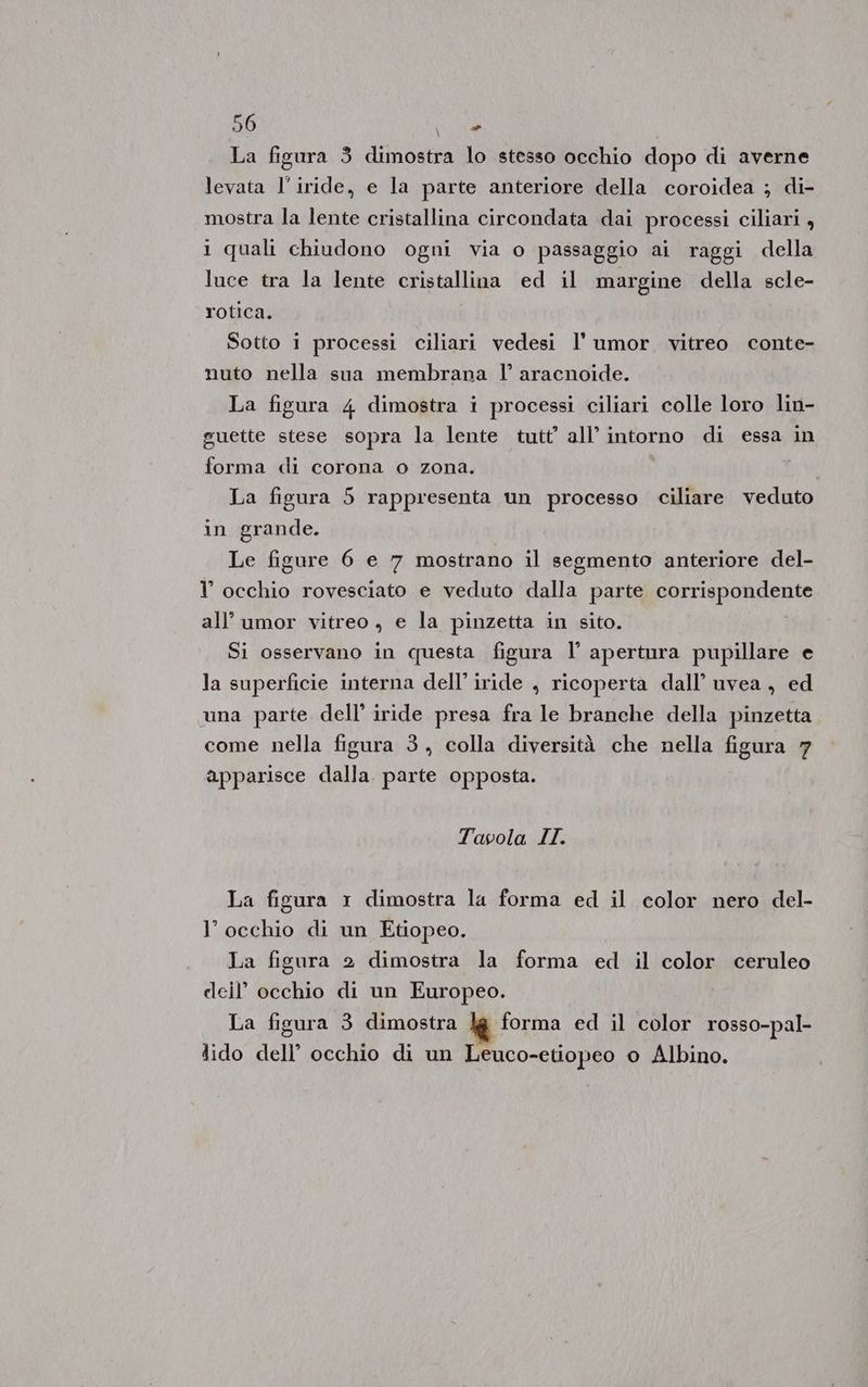 La figura 3 dimostra lo stesso occhio dopo di averne levata l'iride, e la parte anteriore della coroidea ; di- mostra la lente cristallina circondata dai processi ciliari , i quali chiudono ogni via o passaggio ai raggi della luce tra la lente cristallina ed il margine della scle- rotica. Sotto i processi ciliari vedesi l’ umor vitreo conte- nuto nella sua membrana l’ aracnoide. La figura 4 dimostra i processi ciliari colle loro lin- guette stese sopra la lente tutt’ all’ intorno di essa in forma di corona o zona. | La figura 5 rappresenta un processo ciliare veduto in grande. Le figure 6 e 7 mostrano il segmento anteriore del- l’ occhio rovesciato e veduto dalla parte corrispondente all’umor vitreo, e la pinzetta in sito. Si osservano in questa figura l° apertura pupillare e la superficie interna dell’ iride , ricoperta dall’ uvea, ed una parte dell’ iride presa fra le branche della pinzetta come nella figura 3, colla diversità che nella figura 7 apparisce dalla. parte opposta. Tavola II. La figura 1 dimostra la forma ed il color nero del- l’ occhio di un Etiopeo. La figura 2 dimostra la forma ed il color ceruleo deil’ occhio di un Europeo. La figura 3 dimostra & forma ed il color rosso-pal- lido dell’ occhio di un Leuco-etiopeo o Albino.