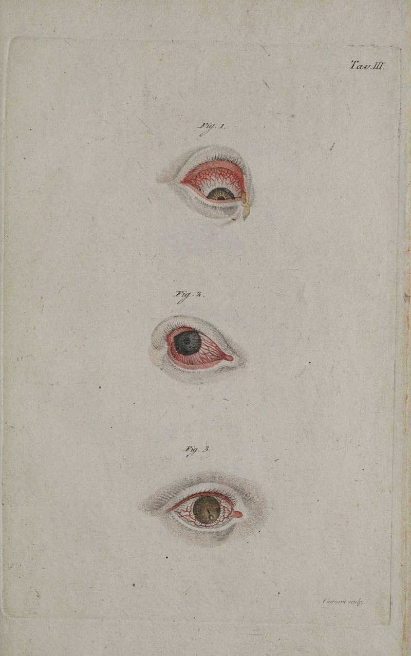 RISALE cet ng a > n - sà: , A —ilini l'apnonti voufo.