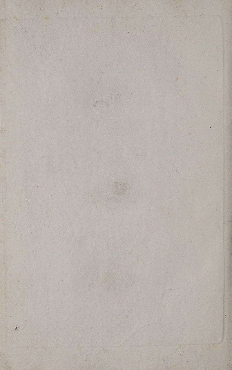 PIO PAT MISTE, A 9 lt at