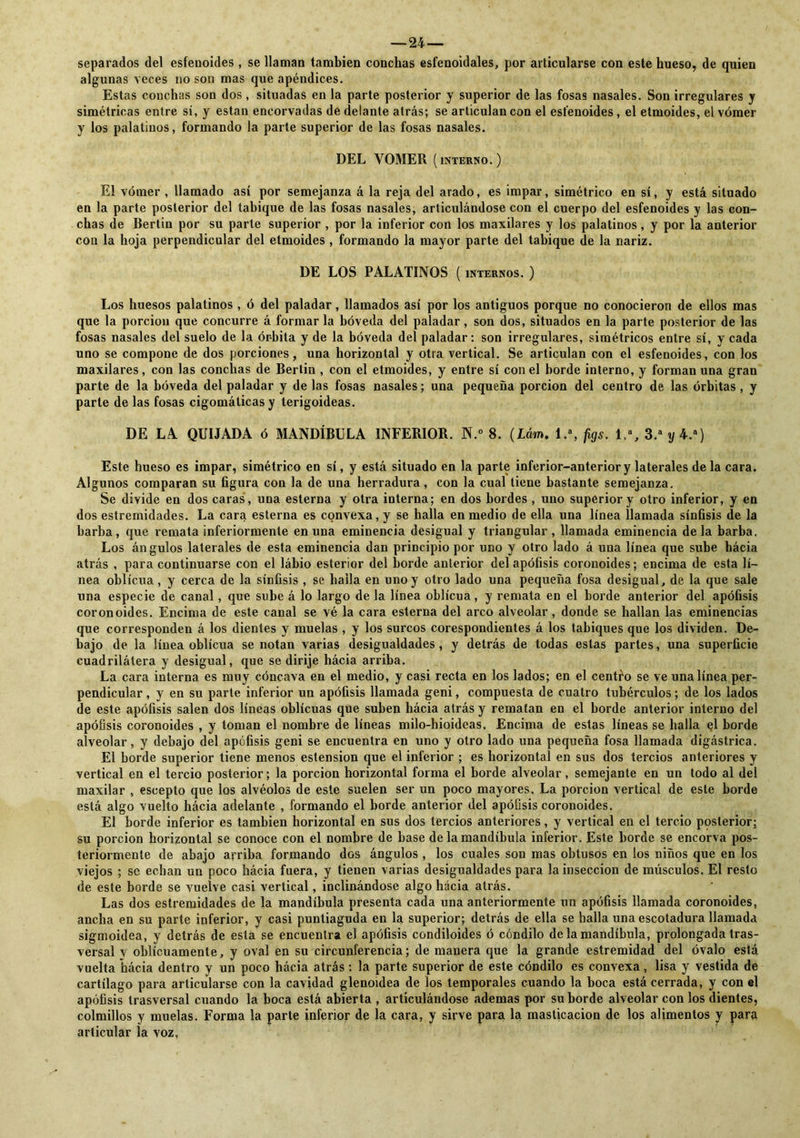 — 24— separados del esfeuoides, se llaman también conchas esfenoidales, por articularse con este hueso, de quien algunas veces no son mas que apéndices. Estas conchas son dos, situadas en la parte posterior y superior de las fosas nasales. Son irregulares y simétricas entre sí, y están encorvadas de delante atrás; se articulan con el esfenoides, el etmoides, el vómer y los palatinos, formando la parte superior de las fosas nasales. DEL VOMER (interno.) El vómer , llamado así por semejanza á la reja del arado, es impar, simétrico en sí, y está situado en la parte posterior del tabique de las fosas nasales, articulándose con el cuerpo del esfenoides y las con- chas de Bertin por su parte superior , por la inferior con los maxilares y los palatinos, y por la anterior con la hoja perpendicular del etmoides , formando la mayor parte del tabique de la nariz. DE LOS PALATINOS ( internos. ) Los huesos palatinos , ó del paladar, llamados así por los antiguos porque no conocieron de ellos mas que la porción que concurre á formar la bóveda del paladar, son dos, situados en la parte posterior de las fosas nasales del suelo de la órbita y de la bóveda del paladar: son irregulares, simétricos entre sí, y cada uno se compone de dos porciones, una horizontal y otra vertical. Se articulan con el esfenoides, con los maxilares, con las conchas de Bertin , con el etmoides, y entre sí con el borde interno, y forman una gran parte de la bóveda del paladar y de las fosas nasales; una pequeña porción del centro de las órbitas , y parte de las fosas cigomáticas y terigoideas. DE LA QUIJADA ó MANDÍBULA INFERIOR. N.° 8. (Lám. 1.a, figs. 1.a, 3.a y 4.a) Este hueso es impar, simétrico en sí, y está situado en la parte inferior-anterior y laterales de la cara. Algunos comparan su figura con la de una herradura, con la cual tiene bastante semejanza. Se divide en dos caras, una esterna y otra interna; en dos bordes , uno superior y otro inferior, y en dos estremidades. La cara esterna es convexa, y se halla en medio de ella una línea llamada sínfisis de la barba, que remata inferiormente en una eminencia desigual y triangular , llamada eminencia de la barba. Los ángulos laterales de esta eminencia dan principio por uno y otro lado á una línea que sube hácia atrás , para continuarse con el lábio esterior del borde anterior del apófisis coronoides; encima de esta lí- nea oblicua, y cerca de la sínfisis , se baila en uno y otro lado una pequeña fosa desigual, de la que sale una especie de canal, que sube á lo largo de la línea oblicua, y remata en el borde anterior del apófisis coronoides. Encima de este canal se vé la cara esterna del arco alveolar, donde se hallan las eminencias que corresponden á los dientes y muelas , y los surcos corespondientes á los tabiques que los dividen. De- bajo de la línea oblicua se notan varias desigualdades, y detrás de todas estas partes, una superficie cuadrilátera y desigual, que se dirije hácia arriba. La cara interna es muy cóncava en el medio, y casi recta en los lados; en el centro se ve una línea per- pendicular , y en su parte inferior un apófisis llamada geni, compuesta de cuatro tubérculos; de los lados de este apófisis salen dos líneas oblicuas que suben hácia atrás y rematan en el borde anterior interno del apófisis coronoides , y toman el nombre de líneas milo-hioideas. Encima de estas líneas se halla el borde alveolar, y debajo del apófisis geni se encuentra en uno y otro lado una pequeña fosa llamada digástrica. El borde superior tiene menos estension que el inferior ; es horizontal en sus dos tercios anteriores y vertical en el tercio posterior; la porción horizontal forma el borde alveolar, semejante en un todo al del maxilar , escepto que los alvéolos de este suelen ser un poco mayores. La porción vertical de este borde está algo vuelto hácia adelante , formando el borde anterior del apófisis coronoides. El borde inferior es también horizontal en sus dos tercios anteriores, y vertical en el tercio posterior; su porción horizontal se conoce con el nombre de base de la mandíbula inferior. Este borde se encorva pos- teriormente de abajo arriba formando dos ángulos , los cuales sou mas obtusos en los niños que en los viejos ; se echan un poco hácia fuera, y tienen varias desigualdades para la bisección de músculos. El resto de este borde se vuelve casi vertical, inclinándose algo hácia atrás. Las dos estremidades de la mandíbula presenta cada una anteriormente un apófisis llamada coronoides, ancha en su parte inferior, y casi puntiaguda en la superior; detrás de ella se halla una escotadura llamada sigmoidea, y detrás de esta se encuentra el apófisis condiloides ó cóndilo de la mandíbula, prolongada tras- versal v oblicuamente, y oval en su circunferencia; de manera que la grande estremidad del óvalo está vuelta hácia dentro y un poco hácia atrás: la parte superior de este cóndilo es convexa, lisa y vestida de cartílago para articularse con la cavidad glenoidea de los temporales cuando la boca está cerrada, y con el apófisis trasversal cuando la boca está abierta , articulándose ademas por su borde alveolar con los dientes, colmillos y muelas. Forma la parte inferior de la cara, y sirve para la masticación de los alimentos y para articular la voz.