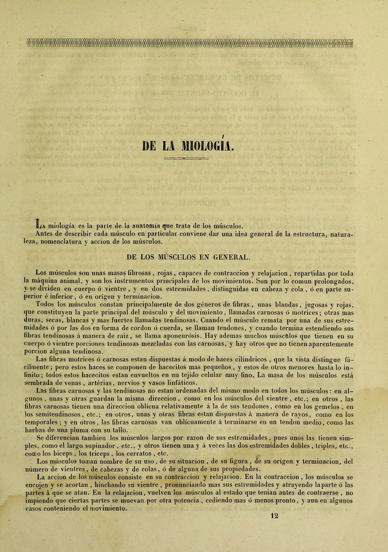 DE / Ija miología es la parle de la anatomía que traía de los músculos. Antes de describir cada músculo en particular conviene dar una idea general de la estructura, natura- leza, nomenclatura y acción de los músculos. DE LOS MÚSCULOS EN GENERAL. Los músculos son unas masas fibrosas , rojas, capaces de contracción y relajación , repartidas por toda la máquina animal, y son los instrumentos principales de los movimientos. Son por lo común prolongados, y se dividen en cuerpo ó vientre , y en dos estremidades, distinguidas en cabeza y cola , ó en parle su- perior é inferior, ó en origen y terminación. Todos los músculos constan principalmente de dos géneros de fibras , unas blandas, jugosas y rojas, que constituyen la parte principal del músculo y del movimiento, llamadas carnosas ó motrices; otras mas duras, secas, blancas y mas fuertes llamadas tendinosas. Cuando el músculo remata por una de sus estre- midades ó por las dos en forma de cordon ó cuerda, se llaman tendones, y cuando termina estendiendo sus fibras tendinosas á manera de raiz, se llama aponeurósis. Hay ademas muchos inúscftlos que tienen en su cuerpo ó vientre porciones tendinosas mezcladas con las carnosas, y hay otros que no tienen aparentemente porción alguna tendinosa. Las fibras motrices ó carnosas están dispuestas á modo de haces cilindricos , que la vista distingue fá- cilmente ; pero estos haces se componen de hacecitos mas pequeños, y estos de otros menores hasta lo in- finito; todos estos hacecitos están envueltos en un tejido celular muy fino. La masa de los músculos está sembrada de venas , artérias, nervios y vasos linfáticos. Las fibras carnosas y las tendinosas no están ordenadas del mismo modo en todos los músculos: en al- gunos , unas y otras guardan la misma dirección, como en los músculos del vientre , etc.; en otros , las fibras carnosas tienen una dirección oblicua relativamente á la de sus tendones, como en los gemelos , en los semitendinosos, etc.; en otros, unas y otras fibras están dispuestas á manera de rayos, como en los temporales ; y en otros, las fibras carnosas van oblicuamente á terminarse en un tendón medio, como las barbas de una pluma con su tallo. Se diferencian también los músculos largos por razón de sus estremidades, pues unos las tienen sim- ples, como el largo supinador , etc., y otros tienen una y á veces las dos estremidades dobles , triples, etc., corro los biceps , los triceps , los cerratos , etc. Los músculos toman nombre de su uso, de su situación , de su figura , de su origen y terminación, del número de vientres, de cabezas y de colas, ó de alguna de sus propiedades. La acción de los músculos consiste en su contracción y relajación. En la contracción, los músculos se encojen y se acortan , hinchando su vientre , pronunciando mas sus estremidades y atrayendo la parte ó las partes á que se atan. En la relajación, vuelven los músculos al estado que tenian antes de contraerse , no impiendo que ciertas partes se muevan por otra potencia , cediendo mas ó menos pronto, y aun en algunos casos conteniendo el movimiento. 12