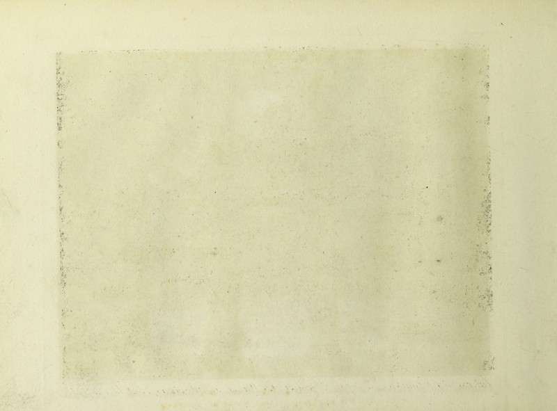 U*. |: 1 i' % ; i tòi<, t 1 1 r h - I ') ’■:< •■. : ‘ V, ; t. : < » ■ - ■. • Vv ' 1 i -V -r . * i- ìM , ■ -t: . , ? •»*< ì t.» \ V