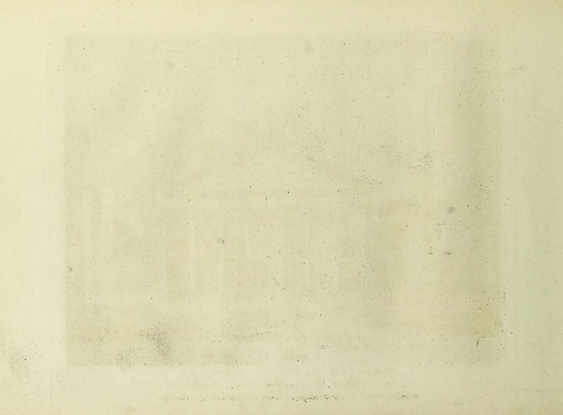 ) '• - ' Vk.' ’ V, . :>s