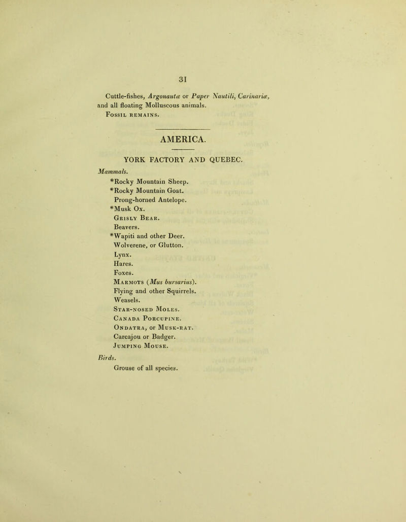 Cuttle-fishes, Argonauta. or Paper Nautili, Carinaria, and all floating Molluscous animals. Fossil remains. AMERICA. YORK FACTORY AND QUEBEC. Mammals. *Rocky Mountain Sheep. * Rocky Mountain Goat. Prong-horned Antelope. *Musk Ox. Grisly Bear. Beavers. * Wapiti and other Deer. Wolverene, or Glutton. Lynx. Hares. Foxes. Marmots (Mus bursarius). Flying and other Squirrels. Weasels. Star-nosed Moles. Canada Porcupine. Ondatra, or Musk-rat. Carcajou or Badger. Jumping Mouse. Birds. Grouse of all species. \