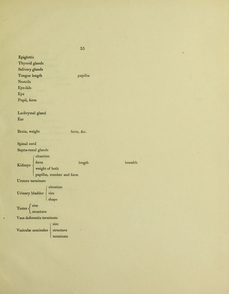 55 Epiglottis Thyroid glands Salivary glands Tongue length papillae Nostrils Eye-lids Eye Pupil, form Lachrymal gland Ear Brain, weight form, &c. Spinal cord Supra-renal glands situation T7-., form Kidneys length © weight of both papillae, number and form Ureters terminate C situation Urinary bladder j size L shape size Testes < l structure Vasa deferentia terminate breadth ' size Vesiculae seminales - structure . terminate