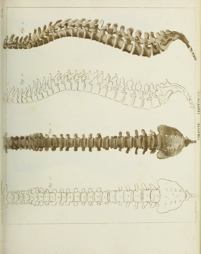 OJ (OLONM: > KIH'KÎ^H M !'