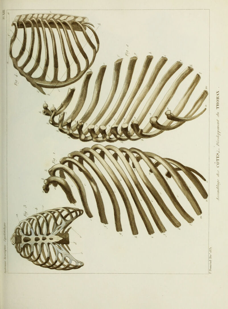 ffofiUfte Wi'e/fi/i/(r</e f/(\i' (’()TKS,L_ Jhhu‘/<yy^<'mt‘/i/ </a M'IIOKAX