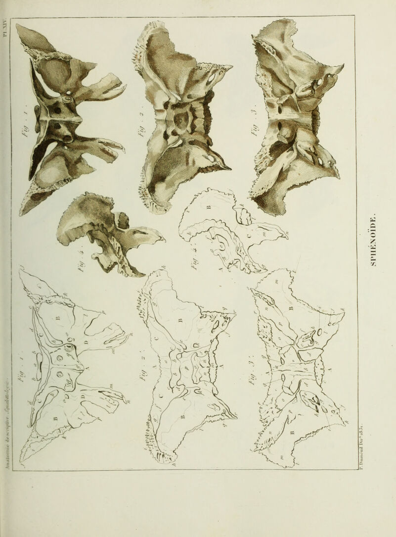 .iMiili.i.'i. .i|) l’.Dmnc'iiil Dir^ .