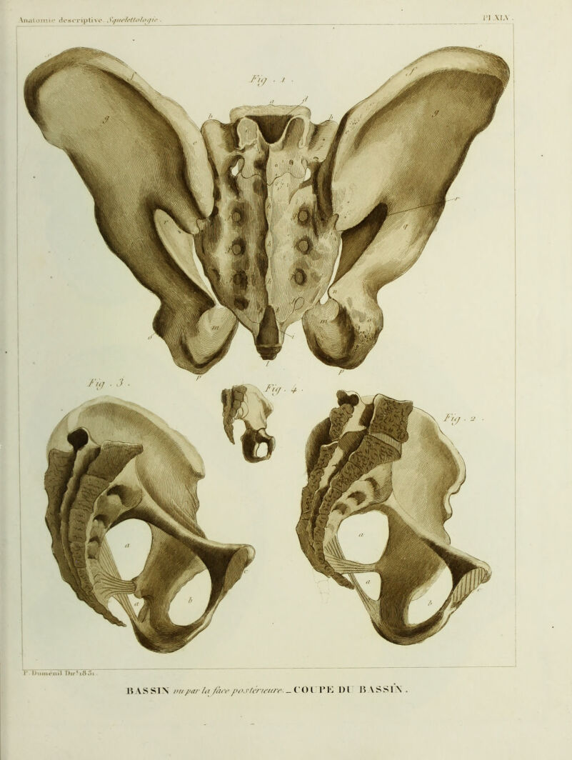 V\ \L\ . .WWWWW^ r DiiMK'iiil t)jr'i8oi-