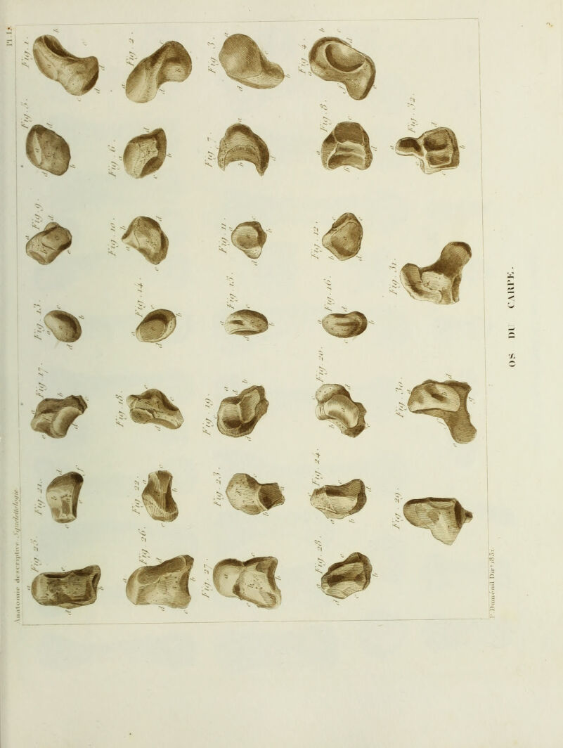 \iitiloinu* cl t s t'Il pi 1 \ (■ . I