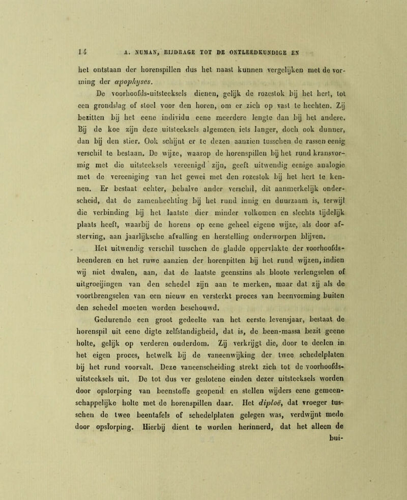 het ontslaan der horenspillen dus het naast kunnen vergelijken met de vor- ming der apophijses. De voorhoofds-uilsleeksels dienen, gelijk de rozeslok bij het hert, tot een grondslag of stoel voor den horen, om er zich op vast te hechten. Zij bezitten bij het eeno individu eene meerdere lengte dan bij het andere. Bij de koe zijn deze uitsteeksels algemeen iets langer, doch ook dunner, dan by den slier. Ook schijnt er te dezen aanzien tusschen de rassen eenig verschil te beslaan. De wijze, waarop de horenspillen by het rund kransvor- rnig met die uitsteeksels vereenigd zijn, geeft uitwendig eenigo analogie met de vereeniging van het gewei met den rozeslok bij het hert te ken- nen. Er beslaat echter, behalve ander verschil, dit aanmerkelijk onder- scheid, dat de zamenhechling bij hel rund innig en duurzaani is, lervvyi die verbinding bij het laatste dier minder volkomen en slechts lijdelijk plaats heeft, waarbij de horens op eene geheel eigene wyze, als door af- sterving, aan jaariykscho afvalling en herstelling onderworpen blijven. Het uitwendig verschil tusschen de gladde oppervlakte der voorhoofds- beenderen en het ruwe aanzien der horenpillen by het rund wijzen, indien wij niet dwalen, aan, dat de laatste geenszins als bloote verlengselen of uilgroeijingen van den schedel zyn aan te merken, maar dat zy als de voortbrengselen van een nieuw en versterkt proces van beenvorming buiten den schedel moeten worden beschouwd. Gedurende een groot gedeelte van het eerste levensjaar, bestaat de horenspil uit eeno digte zelfstandigheid, dat is, de been-raassa bezit gcene holte, gelyk op verderen ouderdom. Zy verkrygt die, door te deelen in het eigen proces, hetwelk bij de vaneenwyking der twee schedelplaten by het rund voorvalt. Deze vaneenscheiding strekt zich lot de voorhoofds- uilsleeksels uit. De tot dus ver geslotene einden dezer uitsteeksels worden door opslorping van beensloffe geopend en stellen wyders eene gemeen- schappelijke holte met do horenspillen daar. Het diploë, dal vroeger tus- schen de twee beentafels of schedelplaten gelegen was, verdwynt mede door opslorping. Hierbij dient Ie worden herinnerd, dat het alleen de bui-