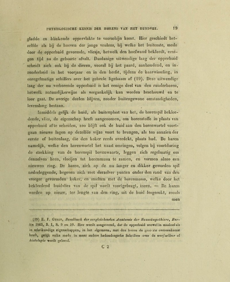 gladde en blinkende oppervlakte te voorschijn komt. Hier geschiedt het- zelfde als bij de hoeven der jonge veulens, hij welke het buitenste, mede door de opperhuid gevormde, vliesje, hetwelk den hoefwand bekleedt, eeni- gen tijd na de geboorte afvalt. Dusdanige uitwendige laag der opperhuid scheidt zich ook bij de dieren, vooral bij het paard, aanhoudend, en in- zonderheid in het voorjaar en in den herfst, tijdens de haarwisseling, in onregelmatige schilfers over het geheele ligchaam af (19). Deze uitwendige laag der nu verhorende opperhuid is het eenige deel van den runderhoren, hetwelk natuurlijkerwijze als vergankelijk kan worden beschouwd en te loor gaat. De overige deelen blijven, zonder buitengewone omstandigheden, levenslang bestaan. Inmiddels gelgk de huid, als buitenplaat van het, de horenspil beklee- dende, vlies, de eigenschap heeft aangenomen, om horenstoffe in plaats van opperhuid af te scheiden, zoo blijft ook de huid aan den horenwortel voort-' gaan nieuwe lagen op dezelfde wijze voort te brengen, als ten aanzien der eerste of buitenlaag, die den koker reeds overdekt, plaats had. De haren namelijk, welke den horenworlel het naast omringen, volgen bij voortduring de strekking van de horenspil bovenwaarts, leggen zich regelmatig om denzelven heen, vloeijen tot horenmassa te zamen, en vormen alzoo een nieuwen ring. De haren, zich op de nu langer en dikker geworden spil nederleggende, begeven zich met derzelver punten onder den rand van den vroeger gevormden koker, en smelten met de horenmassa, welke door het bekleedend huidvlies van de spil wordt voorlgebragt, ineen. — De haren worden op nieuw, ter lengte van den ring, uil de huid losgerukf, zooals men (19) £. F. Gorit, Uandbuch der vergleichenden Anatomie der Hauasaugelhiere, Ber- lin IS43, B. I, S. 9 en 10, tlier wordt aangetoond, dat'de opperhuid zoowel in maaksel als in scheikundige eigenschappen, in het algemeen, met den horen de groo'sle overeenkomst heeft, gelijk zulks mede in meer andere hedendaagsche Schriften over de weef setteer of histologie wordt geleerd. G 2