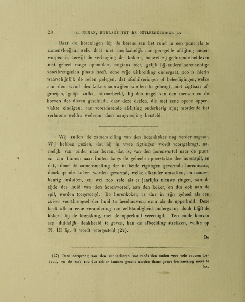 Daar de horcriiagen bij do horens van het rund in een punt ais te zaraenvlocijcn, welk deel niet noodzakelijk aan geregelde afslijting onder- worpen is, terwijl de Terlenging der kokers, hoewel zij gedurende bel leven niet geheel moge ophouden, nogtans niet, gelijk bij andere 'horenachtige voortbrengselen plaats heeft, eene vrije uitbreiding ondergaat, zoo is hierin waarschijnlijk de reden gelegen, dat afschilveringen of beleedigingen, welke aan den wand des kokers somwijlen worden loegebragt, niet ziglbaar af- groeijen, gelijk zulks, bijvoorbeeld, bij den nagel van den raensch en de hoeven der dieren geschiedt, daar deze dcelen, die met eene openc opper- vlakte eindigen, aan voortdurende afslijting onderhevig zijn; wordende hel verlorene weldra wederom door aangroeijing hersteld. Wij zullen de zamenstelling van den hotenkoker nog verder nagaan. Wij hebben gezien, dal hij in twee rigtingen Avordt voorlgebragt, na- melijk van onder naar boven, dat is, van den horenwortcl naar do punt, en van binnen naar buiten langs do geheele oppervlakte der horenspil, en dat, door de zamensraelling der in beide rigtingen gevormde horeninassa, doorloopende kokers worden gevormd, welke elkander omvatten, en naauw- keurig insluiten, en wel zoo vele als er jaarlijks nieuwe ringen, van de zijde der huid van den horenworlel, aan den koker, en dus ook aan de spil, worden toegevoegd. De horenkoker, is dus in zijn geheel als een zuiver voortbrengsel der huid te beschouwen, even als de opperhuid. Deze heeft alleen eene verandering van zelfstandigheid ondergaan; doch blijft de koker, bij de losmaking, met de opperhuid vereenigd. Ten einde hiervan een duidelijk denkbeeld te geven, kan de afbeelding strekken, welke op PI. III fig. 3 wordt voorgesleld (27). De (27) Deze oorsprong van den runderhoren was reeds den ouden voor vele eeuwen be- kend, en de zaak zou dus schier kunnen geacht worden thans geene herinnering meer la be-