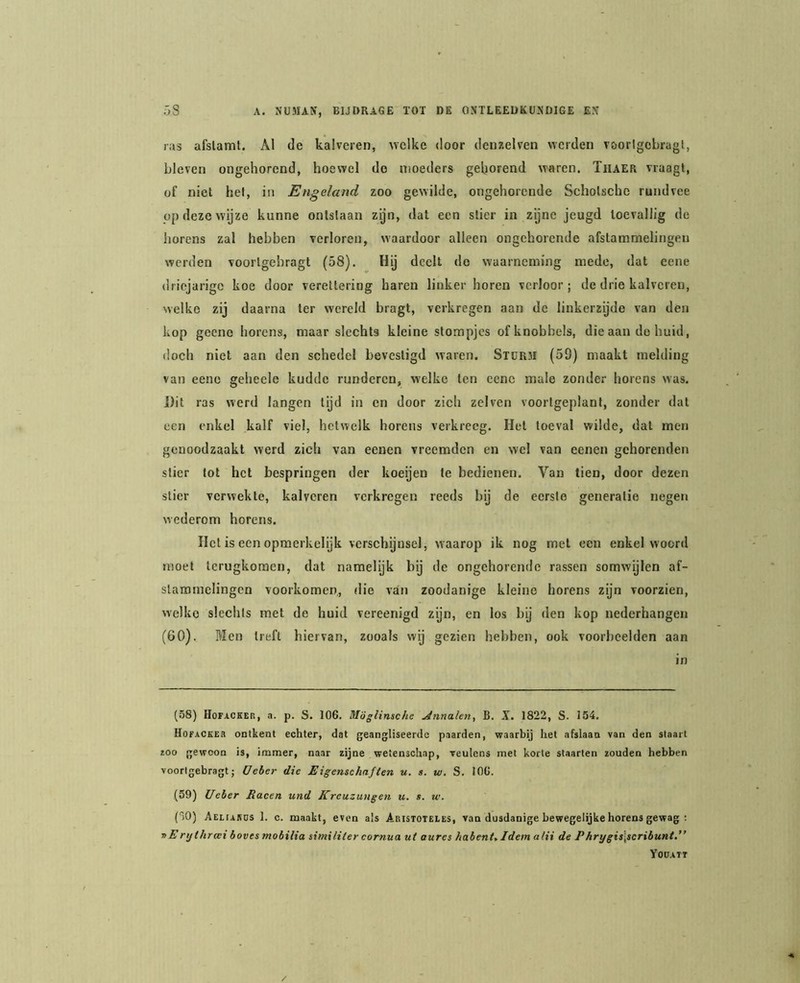 ras afslaml. AI de kalveren, welke door den?.elven werden vöorlgobragl, bleven ongehorend, hoewel do moeders gehorend waren. Tiiaer vraagt, of niet het, in Engeland zoo gewilde, ongehorende Scholsche rundvee op deze wijze kunne ontstaan zijn, dat een slier in zijne jeugd toevallig de horens zal hebben verloren, waardoor alleen ongchorende afstammelingen werden voorlgebragt (58). Hij deelt do waarneming mede, dat eene driejarige koe door verettering baren linker horen verloor; de drie kalveren, welke zij daarna ter wereld bragt, verkregen aan de linkerzijde van den kop geeno horens, maar slechts kleine stompjes of knobbels, die aan do huid, doch niet aan den schedel bevestigd waren. StüR3I (59) maakt melding van eene geheele kudde runderen, welke ten eene male zonder horens was. Dit ras werd langen lijd in en door zich zelven voorlgeplant, zonder dat een enkel kalf viel, hetwelk horens verkreeg. Hel toeval wilde, dat men genoodzaakt werd zich van eenen vreemden en wel van eenen gchorenden stier tot het bespringen der koeijen te bedienen. Van tien, door dezen slier verwekte, kalveren verkregen reeds bij de eerste generatie negen wederom horens. Het is een opmerkelijk verschijnsel, waarop ik nog met een enkel woord moet terugkomen, dat namelyk bij de ongehorende rassen somwijlen af- stammelingen voorkomen,, tlie van zoodanige kleine horens zijn voorzien, welke slechts met de huid vereenigd zijn, en los bij den kop nederhangen (60). Men treft hiervan, zooals wij gezien hebben, ook voorbeelden aan in (58) Hofackeb, a. p. S. 106, Möglinsche jdnnalen, B. X. 1822, S. 154. HofACKEa ontkent echter, dat geangliseerde paarden, waarbij het afslaan van den staart 100 gewoon is, immer, naar zijne wetenschap, reulens met korte staarten zouden hebben voortgebragt; Ueber die Eigenschaften u. s. w. S. 106. (59) Ueber Racen und Kreuzuugen u. s. w. ('50) Aeuaeds 1. c. maakt, even als Aristoteles, van dusdanige bewegelijke horens gewag : nErijthrwi boves mobilia similiter cornua ut aures habent^Idem alii de Phrygis\scribunt.” yoüATT