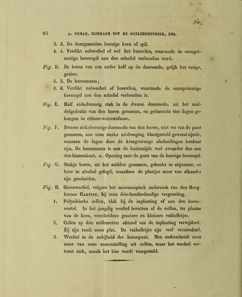 3. 3. De iloorgesneden beenige kern of spil. 4. 4. Verdikt celweefsel of wel het beenvlies, waarmede de onregel- nialige horenspil aan den schedel verbonden werd. D. De horen van een ander kalf op do doorsnede, gelijk het vorige, gezien. 5. 5. De horenmassa; 6. 6. Verdikt celweefsel of beenvlies, waarmede de onregelmatige horenspil aan 'den schedel verbonden is. E. Half cirkelvormig stuk in de dwarse doorsnede, uit het mid- delgedeelte van den horen genomen, en gedurende vier dagen ge- hangen in chloor-walerslofzuur. F. Dwarse cirkelvormige doorsnede van den horen, niet ver van de punt genomen, aan eeno sterke uitdrooging blootgesteld geweest zynde, waaraan de lagen door de kringvormige afscheidingen kenbaar zijn. De horenmassa is aan de buitenzijde veel zwaarder dan aan den binnenkant, a. Opening voor de punt van de beenige horenspil. G. Stukje horen, uit het naidden genomen, gekookt in az^nzuur, en later in alcohol gelegd, waardoor de plaatjes meer van elkander zgn gescheiden. H. Horenweefsel, volgens het microscopisch onderzoek van den Hoog- leeraar Harting, bij eeno drie-honderdmalige vergrooting. 1. Polyedrische cellen, vlak bij de inplanting of aan den horen- wortel. In het jeugdig weefsel bevatten al de cellen, ter plaatse van do kern, verscheidene grootere en kleinere vetbolletjes. 2. Cellen op drie milleraelers afstand van de inplanting verwyderd. Zij zijn reeds meer plat. De vetbolletjes zyn veel verminderd. 3. Weefsel in de nabijheid der horenpunt. Men onderscheidt niets meer van eene zamcnstelling uit cellen, maar het weefsel ver- toont zich, zooals het hier wordt voorgesteld.