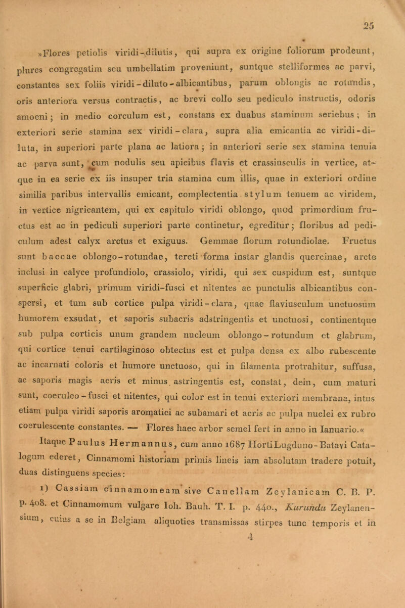 »Flores petiolis viridi - dilutis, qui supra ex origine foliorum prodeunt, plures congregatim seu umbellatim proveniunt, sunlque stelliformes ac parvi, constantes sex foliis viridi-diluto-albicantibus, parum oblongis ac rotundis, • oris anteriora versus contractis, ac brevi collo seu pediculo instructis, odoris amoeni; in medio corculum est, constans ex duabus staminum seriebus ; in exteriori serie stamina sex viridi - clara, supra alia emicantia ac viridi-di- luta, in superiori parte plana ac latiora; in anteriori serie sex stamina tenuia ac parva sunt, cum nodulis seu apicibus flavis et crassiusculis in vertice, at- que in ea serie ex iis insuper tria stamina cum illis, quae in exteriori ordine similia paribus intervallis emicant, complectentia stylum tenuem ac viridem, in vertice nigricantem, qui ex capitulo viridi oblongo, quod primordium fru- ctus est ac in pediculi superiori parte continetur, egreditur; floribus ad pedi- culum adest calyx arctus et exiguus. Gemmae florum rotundiolae. Fructus sunt baccae oblongo-rotundae, tereti forma instar glandis quercinae, arcte inclusi in calyce profundiolo, crassiolo, viridi, qui sex cuspidum est, suntque superficie glabri, primum viridi-fusci et nitentes ac punctulis albicantibus con- spersi, et tum sub cortice pulpa viridi - clara, quae flaviusculum unctuosum humorem exsudat, et saporis subacris adstringentis et unctuosi, continentque sub pulpa corticis unum grandem nucleum oblongo - rotundum et glabrum, qui cortice tenui cartilaginoso obtectus est et pulpa densa ex albo rubescente ac incarnati coloris et humore unctuoso, qui in filamenta protrahitur, suffusa, ac saporis magis acris et minus, astringentis est, constat, dein, cum maturi sunt, coeruleo - fusci et nitentes, qui color est in tenui exteriori membrana, intus etiam pulpa viridi saporis aromatici ac subamari et acris ac pulpa nuclei ex rubro coerulescente constantes. — Flores haec arbor semel fert in anno in Ianuario.« Itaque Paulus FI er mannus, cum anno 1687 Horti Lugduno-Batavi Cata- logum ederet, Cinnamomi historiam primis lineis iam absolutam tradere potuit, duas distinguens species: 1) Cassiam cinnamomeam’sive Canellam Zevlanicam C. B. P. P- 4o8. et Cinnamomum vulgare Ioh. Bauli. T. I. p. 44<>., Kurunda Zeylanen- fium, cuius a sc in Belgiam aliquoties transmissas stirpes tunc temporis et in