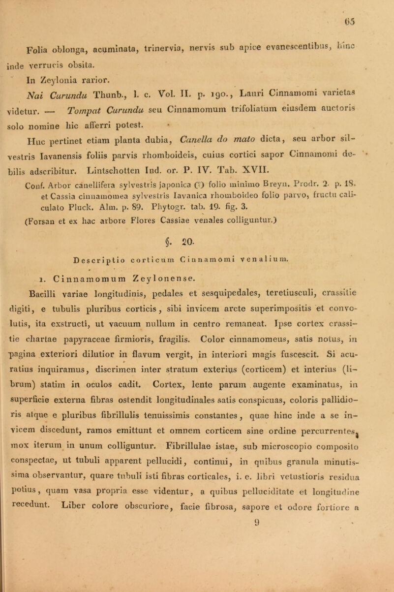 05 Folia oblonga, acuminata, trinervia, nervis sub apice evanescentibus, bine inde verrucis obsita. In Zeylonia rarior. Nai Curundu Tlmnb., 1. c. Vol. II. p. 190., Lauri Cinnamomi varietas \ videtur. Tornpcit Curundu seu Cinnamomum trifoliatum eiusdem auctoris solo nomine liic afferri potest. Huc pertinet etiam planta dubia, Canella do mato dicta, seu arbor sil- vestris Iavanensis foliis parvis rhomboideis, cuius cortici sapor Cinnamomi de- bilis adseribitur. Lintschotten Ind. or. P. IV. Tab. XVII. Conf. Arbor canellifera sylvestris japonica (?) folio minimo Breyn. Prodr. 2 p. 18. et Cassia cinnamouiea sylvestris Iavanica rhomboideo folio parvo* fructu cali- culato Pluck. Alm. p. 89. Phytogr. tab. 19. fig. 3. (Forsan et ex liac arbore Flores Cassiae venales colliguntur.) §. 20. Descriptio corticum Cinnamomi venalium. # * i. Cinnamomum Zeylonense. Bacilli variae longitudinis, pedales et sesquipedales, teretiusculi, crassitie digiti, e tubulis pluribus corticis, sibi invicem arcte superimpositis et convo- lutis, ita exstructi, ut vacuum nullum in centro remaneat. Ipse cortex crassi- tie chartae papyraceae firmioris, fragilis. Color cinnamomeus, satis notus, in pagina exteriori dilutior in flavum vergit, in interiori magis fuscescit. Si acu- ratius inquiramus, discrimen inter stratum exterius (corticem) et interius (li- brum) statim in oculos cadit Cortex, lente parum augente examinatus, in superficie externa fibras ostendit longitudinales satis conspicuas, coloris pallidio- , i ns atque e pluribus fibrillulis tenuissimis constantes , quae hinc inde a se in- vicem discedunt, ramos emittunt et omnem corticem sine ordine percurrentes* mox iterum in unum colliguntur. Fibrillulae istae, sub microscopio composito conspectae, ut tubuli apparent pellucidi, continui, in quibus granula minutis- sima observantur, quare tubuli isti fibras corticales, i. e. libri vetustioris residua potius, quam vasa propria esse videntur, a quibus pelluciditate et longitudine recedunt. Liber colore obscuriore, facie fibrosa, sapore et odore fortiore a 9