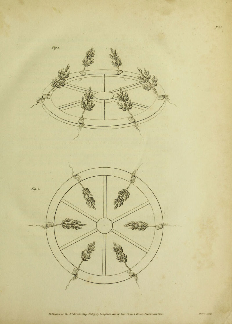 Published as the Act directs May jfidij by Longman Jfurst foes.Orme \ Bnn\ n PateniostiTliinv. it■'//,■ n .rcutp.