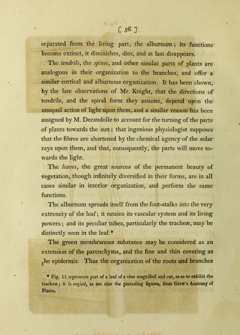 separated from the living part, the alburnum ; its functions become extinct, it diminishes, dies, and at last disappears. The tendrils, the spines, and other similar parts of plants are analogous in their organization to the branches, and offer a similar cortical and alburnous organization. It has been shown, by the late observations of Mr. Knight, that the directions of tendrils, and the spiral form they assume, depend upon the unequal action of light upon them, and a similar reason has been assigned by M. Decandolle to account for the turning of the parts of plants towards the sun ; that ingenious physiologist supposes that the fibres are shortened by the chemical agency of the solar rays upon them, and that, consequently, the parts will move to- wards the light. The leaves, the great sources of the permanent beauty of vegetation, though infinitely diversified in their forms, are in all cases similar in interior organization, and .perform the same functions. The alburnum spreads itself from the foot-stalks into the very extremity of the leaf; it retains its vascular system and its living powers ; and its peculiar tubes, particularly the tracheae, may be distinctly seen in the leaf.* The green membranous substance may be considered as an extension of the parenchyma, and the fine and thin covering as the epidermis. Thus the organization of the roots and branches * Fig. 11 represents part of a leaf of a vine magnified and cut, so as to exhibit the tracheae; il is copied, as are also the preceding figures, from Grew’s Anatomy of Plants.