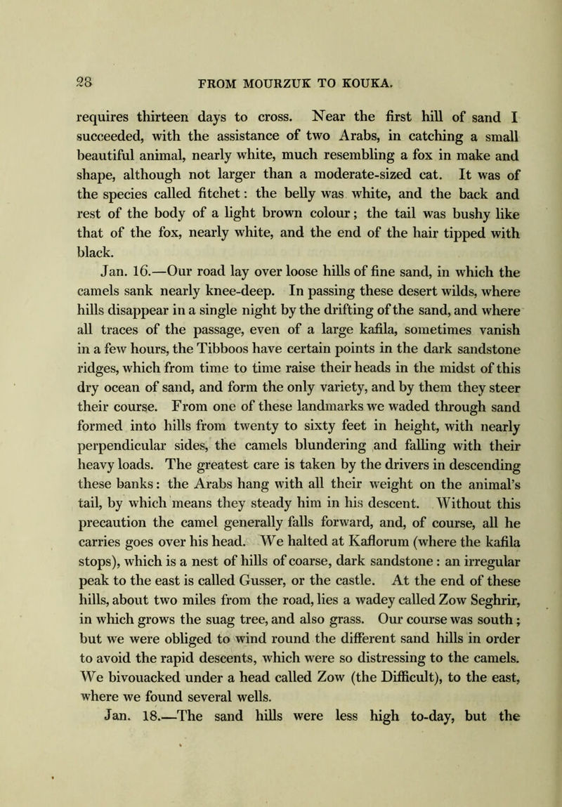 requires thirteen days to cross. Near the first hill of sand I succeeded, with the assistance of two Arabs, in catching a small beautiful animal, nearly white, much resembling a fox in make and shape, although not larger than a moderate-sized cat. It was of the species called fitchet: the belly was white, and the back and rest of the body of a light brown colour; the tail was bushy like that of the fox, nearly white, and the end of the hair tipped with black. Jan. 16.—Our road lay over loose hills of fine sand, in which the camels sank nearly knee-deep. In passing these desert wilds, where hills disappear in a single night by the drifting of the sand, and where all traces of the passage, even of a large kafila, sometimes vanish in a few hours, the Tibboos have certain points in the dark sandstone ridges, which from time to time raise their heads in the midst of this dry ocean of sand, and form the only variety, and by them they steer their course. From one of these landmarks we waded through sand formed into hills from twenty to sixty feet in height, with nearly perpendicular sides, the camels blundering and falling with their heavy loads. The greatest care is taken by the drivers in descending these banks: the Arabs hang with all their weight on the animal’s tail, by which means they steady him in his descent. Without this precaution the camel generally falls forward, and, of course, all he carries goes over his head. We halted at Kaflorum (where the kafila stops), which is a nest of hills of coarse, dark sandstone: an irregular peak to the east is called Gusser, or the castle. At the end of these hills, about two miles from the road, lies a wadey called Zow Seghrir, in which grows the suag tree, and also grass. Our course was south; but we were obliged to wind round the different sand hills in order to avoid the rapid descents, which were so distressing to the camels. We bivouacked under a head called Zow (the Difficult), to the east, where we found several wells. Jan. 18.—The sand hills were less high to-day, but the