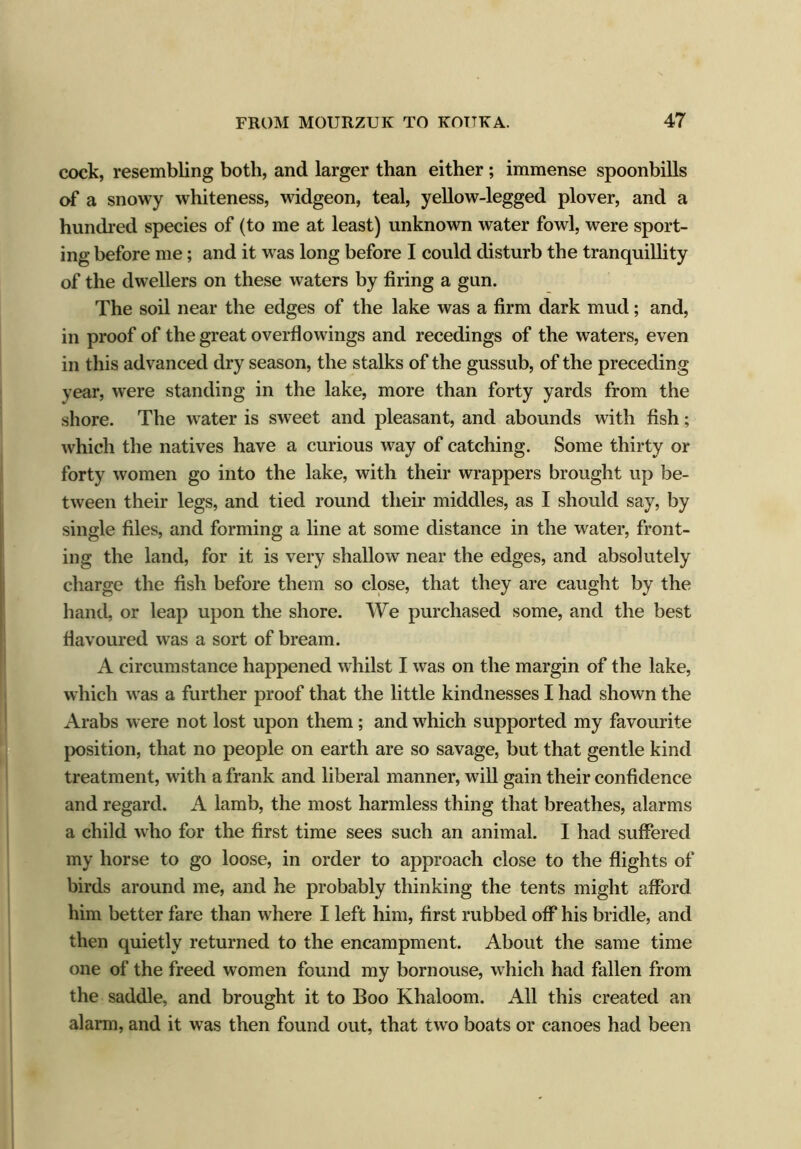 cock, resembling both, and larger than either ; immense spoonbills of a snowy whiteness, widgeon, teal, yellow-legged plover, and a hundred species of (to me at least) unknown water fowl, were sport- ing before me; and it was long before I could disturb the tranquillity of the dwellers on these waters by firing a gun. The soil near the edges of the lake was a firm dark mud; and, in proof of the great overflowings and recedings of the waters, even in this advanced dry season, the stalks of the gussub, of the preceding year, were standing in the lake, more than forty yards from the shore. The water is sweet and pleasant, and abounds with fish; which the natives have a curious way of catching. Some thirty or forty women go into the lake, with their wrappers brought up be- tween their legs, and tied round their middles, as I should say, by single files, and forming a line at some distance in the water, front- ing the land, for it is very shallow near the edges, and absolutely charge the fish before them so close, that they are caught by the hand, or leap upon the shore. We purchased some, and the best flavoured was a sort of bream. A circumstance happened whilst I was on the margin of the lake, which was a further proof that the little kindnesses I had shown the Arabs were not lost upon them; and which supported my favourite position, that no people on earth are so savage, but that gentle kind treatment, with a frank and liberal manner, will gain their confidence and regard. A lamb, the most harmless thing that breathes, alarms a child who for the first time sees such an animal. I had suffered my horse to go loose, in order to approach close to the flights of birds around me, and he probably thinking the tents might afford him better fare than where I left him, first rubbed off his bridle, and then quietly returned to the encampment. About the same time one of the freed women found my bornouse, which had fallen from the saddle, and brought it to Boo Khaloom. All this created an alarm, and it was then found out, that two boats or canoes had been