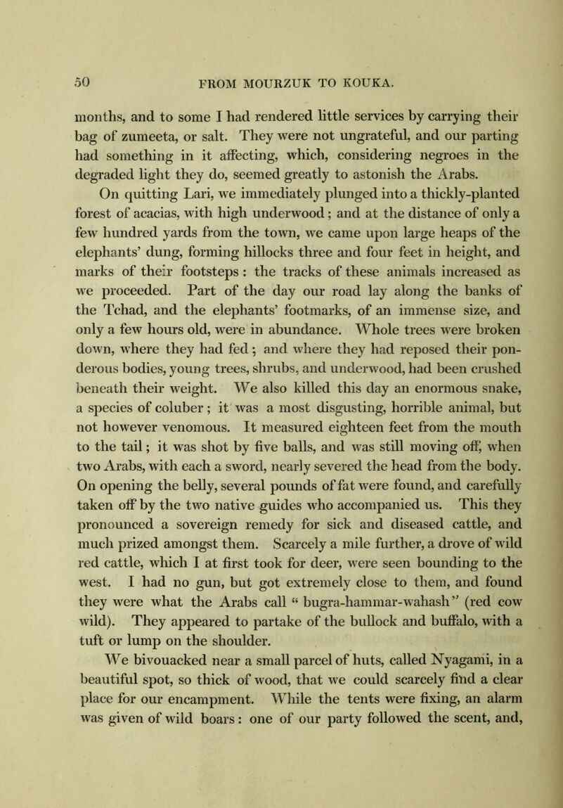 months, and to some I had rendered little services by carrying their bag of zumeeta, or salt. They were not ungrateful, and our parting had something in it affecting, which, considering negroes in the degraded light they do, seemed greatly to astonish the Arabs. On quitting Lari, we immediately plunged into a thickly-planted forest of acacias, with high underwood; and at the distance of only a few hundred yards from the town, we came upon large heaps of the elephants’ dung, forming hillocks three and four feet in height, and marks of their footsteps : the tracks of these animals increased as we proceeded. Part of the day our road lay along the banks of the Tchad, and the elephants’ footmarks, of an immense size, and only a few hours old, were in abundance. Whole trees were broken down, where they had fed: and where they had reposed their pon- derous bodies, young trees, shrubs, and underwood, had been crushed beneath their weight. We also killed this day an enormous snake, a species of coluber; it was a most disgusting, horrible animal, but not however venomous. It measured eighteen feet from the mouth to the tail; it was shot by five balls, and was still moving off, when two Arabs, with each a sword, nearly severed the head from the body. On opening the belly, several pounds of fat were found, and carefully taken off by the two native guides who accompanied us. This they pronounced a sovereign remedy for sick and diseased cattle, and much prized amongst them. Scarcely a mile further, a drove of wild red cattle, which I at first took for deer, were seen bounding to the west. I had no gun, but got extremely close to them, and found they were what the Arabs call “ bugra-hammar-wahash ” (red cow wild). They appeared to partake of the bullock and buffalo, with a tuft or lump on the shoulder. We bivouacked near a small parcel of huts, called Nyagami, in a beautiful spot, so thick of wood, that we could scarcely fhid a clear place for our encampment. While the tents were fixing, an alarm was given of wild boars: one of our party followed the scent, and,