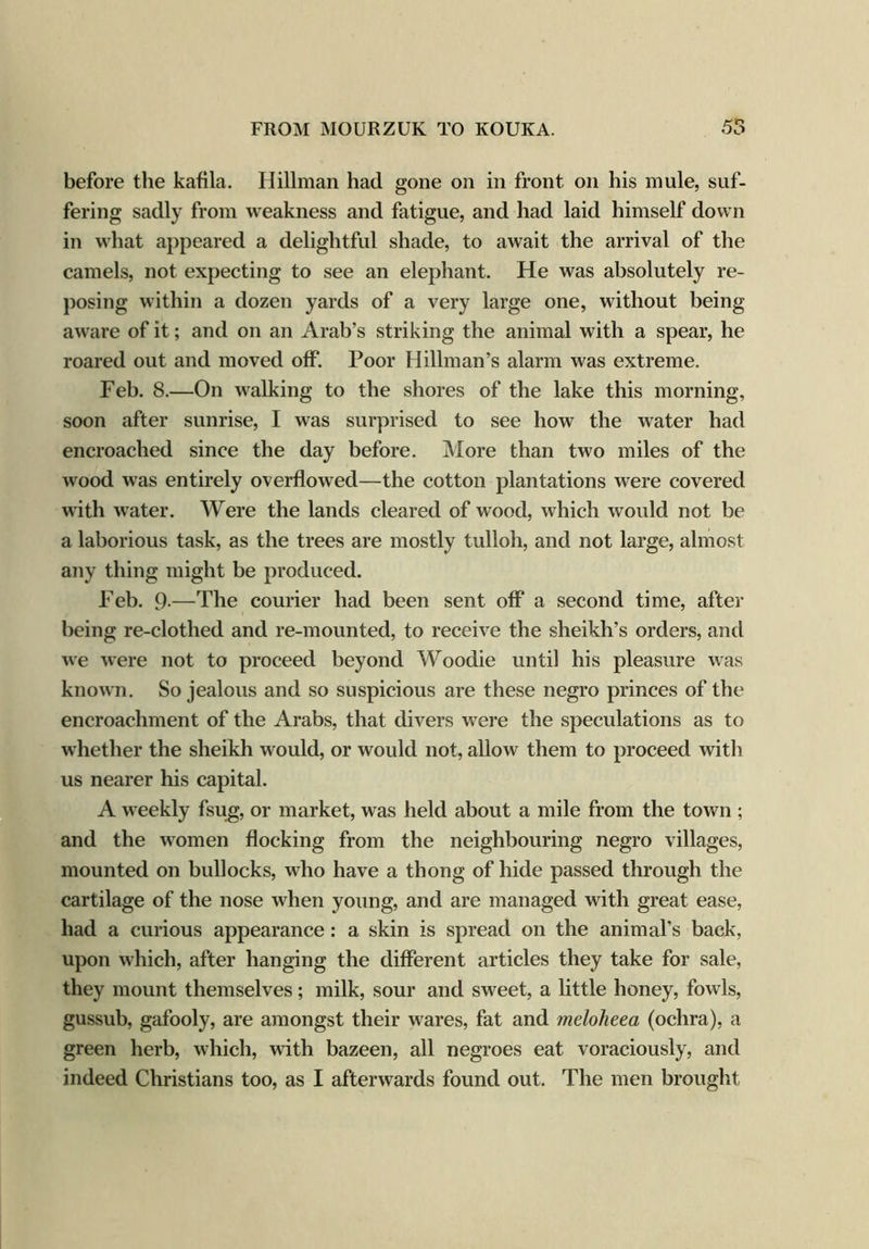 before the kafila. Hillman had gone on in front on his mule, suf- fering sadly from weakness and fatigue, and had laid himself down in what appeared a delightful shade, to await the arrival of the camels, not expecting to see an elephant. He was absolutely re- posing within a dozen yards of a very large one, without being aware of it; and on an Arab’s striking the animal with a spear, he roared out and moved off. Poor Hillman’s alarm was extreme. Feb. 8.—On walking to the shores of the lake this morning, soon after sunrise, I was surprised to see how the water had encroached since the day before. More than two miles of the wood was entirely overflowed—the cotton plantations were covered with water. Were the lands cleared of wood, which would not be a laborious task, as the trees are mostly tulloh, and not large, almost any thing might be produced. Feb. 9-—The courier had been sent off a second time, after being re-clothed and re-mounted, to receive the sheikh’s orders, and we were not to proceed beyond Woodie until his pleasure was known. So jealous and so suspicious are these negro princes of the encroachment of the Arabs, that divers were the speculations as to whether the sheikh would, or would not, allow them to proceed with us nearer his capital. A weekly fsug, or market, was held about a mile from the town ; and the women flocking from the neighbouring negro villages, mounted on bullocks, who have a thong of hide passed through the cartilage of the nose when young, and are managed with great ease, had a curious appearance: a skin is spread on the animal’s back, upon which, after hanging the different articles they take for sale, they mount themselves; milk, sour and sweet, a little honey, fowls, gussub, gafooly, are amongst their wares, fat and meloheea (ochra), a green herb, which, with bazeen, all negroes eat voraciously, and indeed Christians too, as I afterwards found out. The men brought