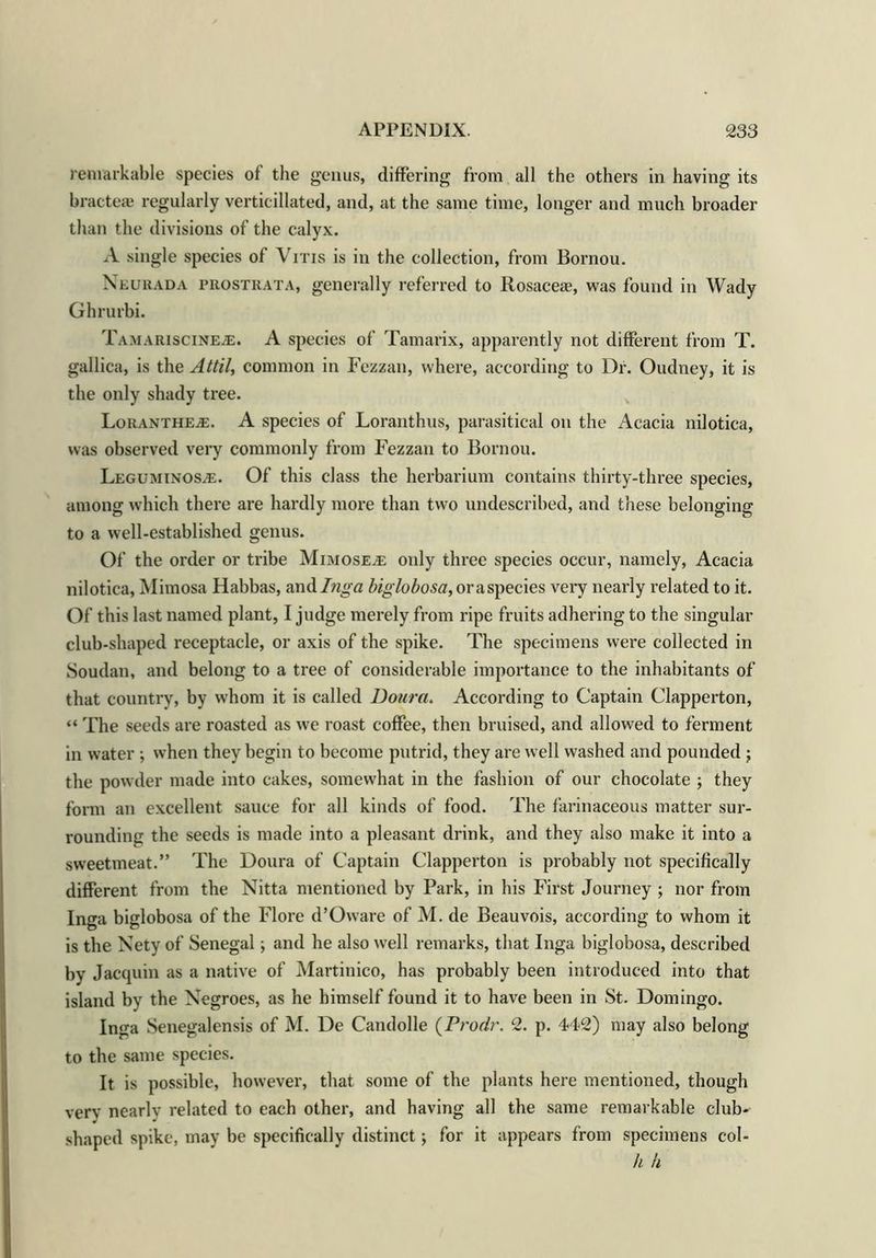 remarkable species of the genus, differing from all the others in having its bracteae regularly verticillated, and, at the same time, longer and much broader than the divisions of the calyx. A single species of Vitis is in the collection, from Bornou. Neurada prostrata, generally referred to Rosaces, was found in Wady Ghrurbi. Tamariscineje. A species of Tamarix, apparently not different from T. gallica, is the Attil, common in Fezzan, where, according to Dr. Oudney, it is the only shady tree. Loranthea:. A species of Loranthus, parasitical on the Acacia nilotica, was observed very commonly from Fezzan to Bornou. Leguminosa:. Of this class the herbarium contains thirty-three species, among which there are hardly more than two undescribed, and these belonging to a well-established genus. Of the order or tribe Mimosea: only three species occur, namely, Acacia nilotica, Mimosa Habbas, andlnga biglobosa, oraspecies very nearly related to it. Of this last named plant, I judge merely from ripe fruits adhering to the singular club-shaped receptacle, or axis of the spike. The specimens were collected in Soudan, and belong to a tree of considerable importance to the inhabitants of that country, by whom it is called Doura. According to Captain Clapperton, “ The seeds are roasted as we roast coffee, then bruised, and allowed to ferment in water ; when they begin to become putrid, they are well washed and pounded j the powder made into cakes, somewhat in the fashion of our chocolate ; they form an excellent sauce for all kinds of food. The farinaceous matter sur- rounding the seeds is made into a pleasant drink, and they also make it into a sweetmeat.” The Doura of Captain Clapperton is probably not specifically different from the Nitta mentioned by Park, in his First Journey ; nor from In^a biglobosa of the Flore d’Oware of M. de Beauvois, according to whom it is the Nety of Senegal; and he also well remarks, that Inga biglobosa, described by Jacquin as a native of Martinico, has probably been introduced into that island by the Negroes, as he himself found it to have been in St. Domingo. Inga Senegalensis of M. De Candolle (Prodr. 2. p. 442) may also belong to the same species. It is possible, however, that some of the plants here mentioned, though verv nearly related to each other, and having all the same remarkable club- shaped spike, may be specifically distinct; for it appears from specimens col- h h