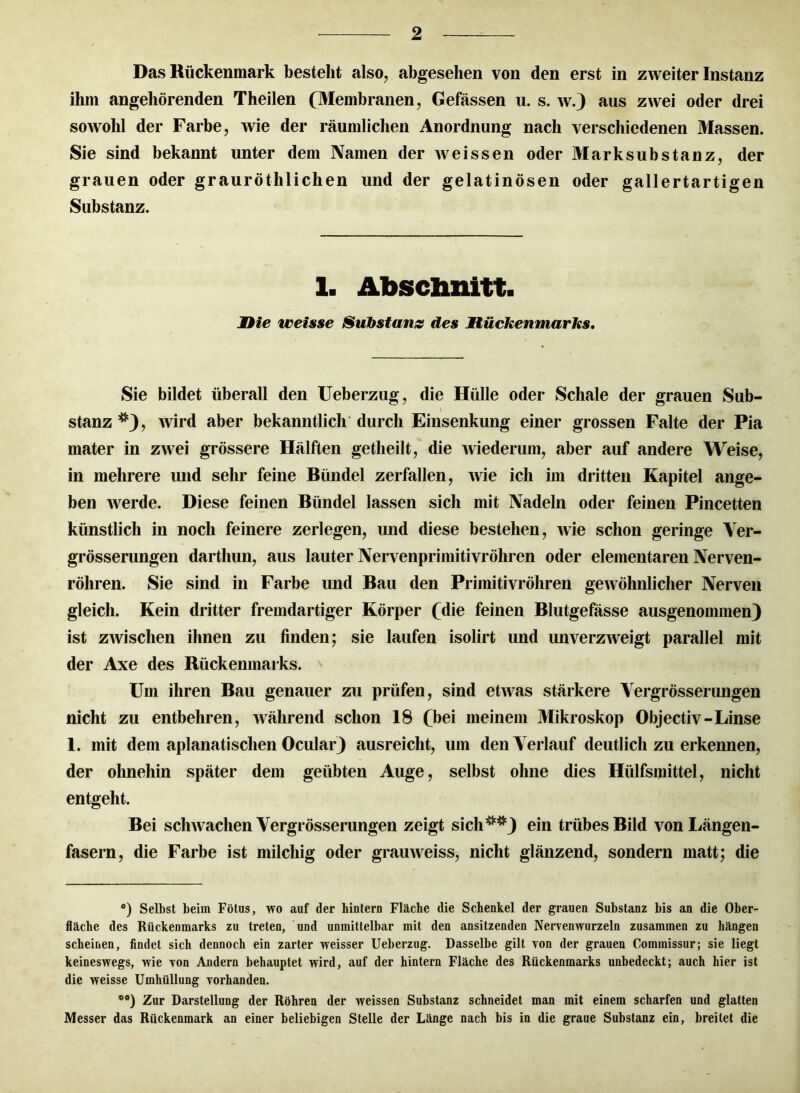 Das Rückenmark bestellt also, abgesehen von den erst in zweiter Instanz ihm angehörenden Theilen (^Membranen, Gefässen u. s. w.) aus zwei oder drei sowohl der Farbe, wie der räumlichen Anordnung nach verschiedenen Massen. Sie sind bekannt unter dem Namen der Aveissen oder Marksubstanz, der grauen oder grauröthlichen und der gelatinösen oder gallertartigen Substanz. 1. Abschnitt. Die weisse Substanz des Mückenmarks. Sie bildet überall den Ueberzug, die Hülle oder Schale der grauen Sub- stanz *e), Avird aber bekanntlich durch Einsenkung einer grossen Falte der Pia mater in zAvei grössere Hälften getheilt, die Aviederum, aber auf andere Weise, in mehrere und sehr feine Bündel zerfallen, Avie ich im dritten Kapitel ange- ben Averde. Diese feinen Bündel lassen sich mit Nadeln oder feinen Pincetten künstlich in noch feinere zerlegen, und diese bestehen, Avie schon geringe Ver- grösserungen darthun, aus lauter Nervenprimitivröhren oder elementaren Nerven- röhren. Sie sind in Farbe und Bau den Primitivröhren geAvöhnlicher Nerven gleich. Kein dritter fremdartiger Körper (die feinen Blutgefässe ausgenommen) ist zAvischen ihnen zu finden; sie laufen isolirt und unverzAveigt parallel mit der Axe des Rückenmarks. Um ihren Bau genauer zu prüfen, sind etAvas stärkere Vergrösserungen nicht zu entbehren, Avälirend schon 18 (bei meinem Mikroskop Objectiv-Linse 1. mit dem aplanatischen Ocular) ausreicht, um den Verlauf deutlich zu erkennen, der ohnehin später dem geübten Auge, selbst ohne dies Hülfsmittel, nicht entgeht. Bei schAvachen Vergrösserungen zeigt sich'4*#) ein trübes Bild von Längen- fasern, die Farbe ist milchig oder grauAveiss, nicht glänzend, sondern matt; die °) Selbst beim Fötus, wo auf der hintern Fläche die Schenkel der grauen Substanz bis an die Ober- fläche des Rückenmarks zu treten, und unmittelbar mit den ansitzenden Nervenwurzeln zusammen zu hängen scheinen, findet sich dennoch ein zarter weisser Ueberzug. Dasselbe gilt von der grauen Cominissur; sie liegt keineswegs, wie von Andern behauptet wird, auf der hintern Fläche des Rückenmarks unbedeckt; auch hier ist die weisse Umhüllung vorhanden. **) Zur Darstellung der Röhren der weissen Substanz schneidet man mit einem scharfen und glatten Messer das Rückenmark an einer beliebigen Stelle der Länge nach bis in die graue Substanz ein, breitet die