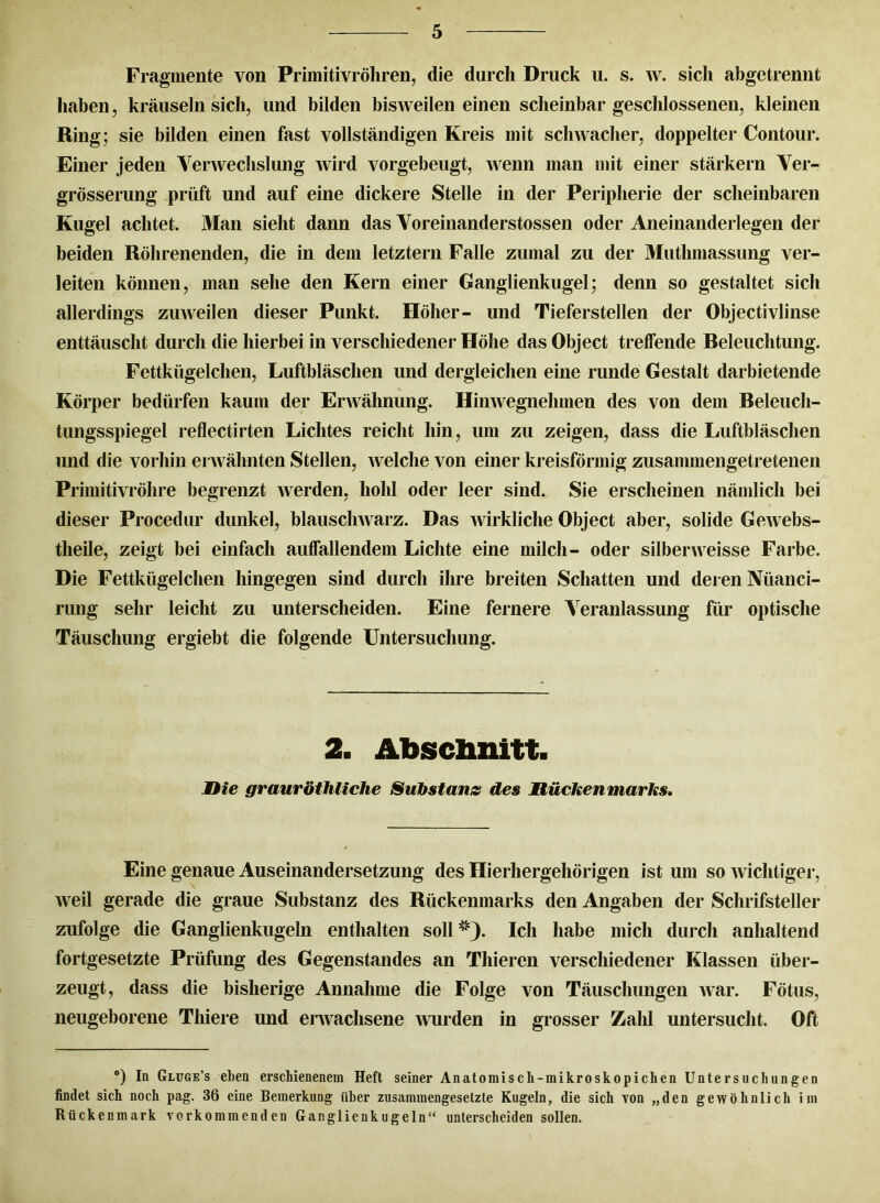Fragmente von Primitivröhren, die durch Druck u. s. w. sich abgetrennt haben, kräuseln sich, und bilden bisweilen einen scheinbar geschlossenen, kleinen Ring; sie bilden einen fast vollständigen Kreis mit schwacher, doppelter Contour. Einer jeden Verwechslung wird vorgebeugt, wenn man mit einer stärkern Yer- grösserung prüft und auf eine dickere Stelle in der Peripherie der scheinbaren Kugel achtet. Man sieht dann das Voreinanderstossen oder Aneinanderlegen der beiden Röhrenenden, die in dem letztem Falle zumal zu der Mutlimassung ver- leiten können, man sehe den Kern einer Ganglienkugel; denn so gestaltet sich allerdings zuweilen dieser Punkt. Höher- und Tieferstellen der Objectivlinse enttäuscht durch die hierbei in verschiedener Höhe das Object treffende Releuchtung. Fettkügelchen, Luftbläschen und dergleichen eine runde Gestalt darbietende Körper bedürfen kaum der Erwähnung. Hinwegnehmen des von dem Releuch- tungsspiegel reflectirten Lichtes reicht hin, um zu zeigen, dass die Luftbläschen und die vorhin erwähnten Stellen, welche von einer kreisförmig zusammengetretenen Primitivröhre begrenzt Averden, hohl oder leer sind. Sie erscheinen nämlich bei dieser Procedur dunkel, blausclrwarz. Das Avirkliche Object aber, solide GeAvebs- tlieile, zeigt bei einfach auffallendem Lichte eine milch- oder silberweisse Farbe. Die Fettkügelchen hingegen sind durch ihre breiten Schatten und deren Nüanci- riuig sehr leicht zu unterscheiden. Eine fernere Veranlassung für optische Täuschung ergiebt die folgende Untersuchung. 2. Abschnitt. Mie grauröthliche Substanz des Mücken marks. Eine genaue Auseinandersetzung des Hierhergehörigen ist um so Avichtiger, Aveil gerade die graue Substanz des Rückenmarks den Angaben der Schrifsteller zufolge die Ganglienkugeln enthalten soll *). Ich habe mich durch anhaltend fortgesetzte Prüfung des Gegenstandes an Thieren verschiedener Klassen über- zeugt, dass die bisherige Annahme die Folge von Täuschungen Avar. Fötus, neugeborene Tliiere und erwachsene Avurden in grosser Zahl untersucht. Oft *) In Gluge’s eben erschienenem Heft seiner Anatomisch-mikroskopichen Untersuchungen findet sich noch pag. 36 eine Bemerkung über zusammengesetzte Kugeln, die sich von „den gewöhnlich im Rückenmark vorkommenden Ganglienkugeln“ unterscheiden sollen.