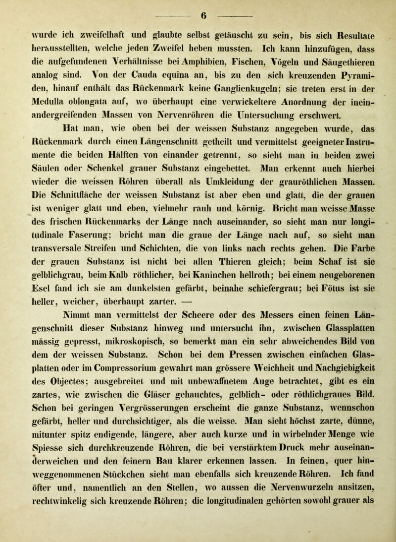 wurde ich zweifelhaft und glaubte selbst getäuscht zu sein, bis sich Resultate herausstellten, Avelche jeden Zweifel heben mussten. Ich kann hinzufügen, dass die aufgefundenen Verhältnisse bei Amphibien, Fischen, Vögeln und Säugethieren analog sind. Von der Cauda equina an, bis zu den sich kreuzenden Pyrami- den, hinauf enthält das Rückenmark keine Ganglienkugeln; sie treten erst in der Medulla oblongata auf, wo überhaupt eine verwickeltere Anordnung der inein- andergreifenden Massen von Nervenröhren die Untersuchung erschwert. Hat man, wie oben bei der weissen Substanz angegeben wurde, das Rückenmark durch einen Längenschnitt getheilt und vermittelst geeigneter Instru- mente die beiden Hälften von einander getrennt, so sieht man in beiden zwei Säulen oder Schenkel grauer Substanz eingebettet. Man erkennt auch hierbei wieder die weissen Röhren überall als Umkleidung der grauröthlichen Massen. Die Schnittfläche der weissen Substanz ist aber eben und glatt, die der grauen ist weniger glatt und eben, vielmehr rauh und körnig. Bricht man weisse Masse des frischen Rückenmarks der Länge nach auseinander, so sieht man nur longi- tudinale Faserung; bricht man die graue der Länge nach auf, so sieht man transversale Streifen und Schichten, die von links nach rechts gehen. Die Farbe der grauen Substanz ist nicht bei allen Thieren gleich; beim Schaf ist sie gelblichgrau, beim Kalb röthlicher, bei Kaninchen hellroth; bei einem neugeborenen Esel fand ich sie am dunkelsten gefärbt, beinahe schiefergrau; bei Fötus ist sie heller, weicher, überhaupt zarter. — Nimmt man vermittelst der Scheere oder des Messers einen feinen Län- genschnitt dieser Substanz hinweg und untersucht ihn, zwischen Glassplatten mässig gepresst, mikroskopisch, so bemerkt man ein sehr abweichendes Bild von dem der weissen Substanz. Schon bei dem Pressen zwischen einfachen Glas- platten oder im Compressorium gewahrt man grössere Weichheit und Nachgiebigkeit des Objectes; ausgebreitet und mit unbewaffnetem Auge betrachtet, gibt es ein zartes, wie zAvischen die Gläser gehauchtes, gelblich- oder röthlichgraues Bild. Schon bei geringen Vergrösserungen erscheint die ganze Substanz, wennschon gefärbt, heller und durchsichtiger, als die weisse. Man sieht höchst zarte, dünne, mitunter spitz endigende, längere, aber auch kurze und in wirbelnder Menge wie Spiesse sich durchkreuzende Röhren, die bei verstärktem Druck mehr auseinan- derweichen und den feinem Bau klarer erkennen lassen. In feinen, quer hin- weggenommenen Stückchen sieht man ebenfalls sich kreuzende Röhren. Ich fand öfter und, namentlich an den Stellen, wo aussen die Nervenwurzeln ansitzen, rechtwinkelig sich kreuzende Röhren; die longitudinalen gehörten sowohl grauer als