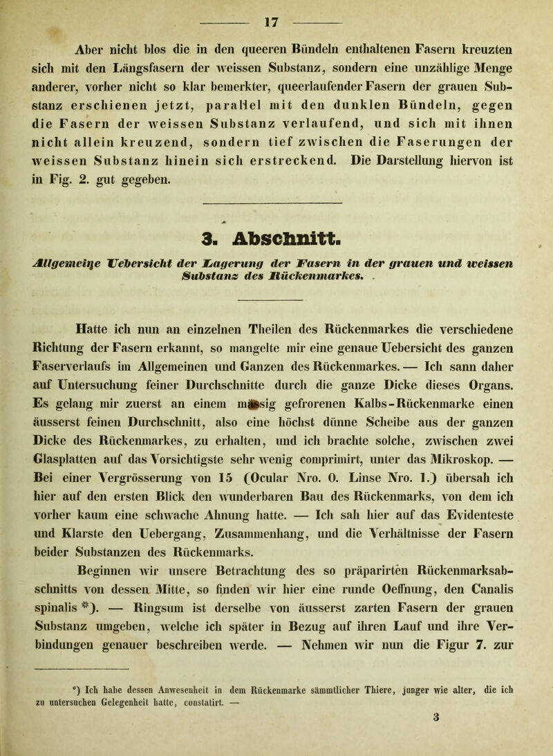 Aber nicht blos die in den queeren Bündeln enthaltenen Fasern kreuzten sich mit den Längsfasern der weissen Substanz, sondern eine unzählige Menge anderer, vorher nicht so klar bemerkter, queerlaufender Fasern der grauen Sub- stanz erschienen jetzt, parallel mit den dunklen Bündeln, gegen die Fasern der weissen Substanz verlaufend, und sich mit ihnen nicht allein kreuzend, sondern tief zwischen die Faserungen der weissen Substanz hinein sich erstreckend. Die Darstellung hiervon ist in Fig. 2. gut gegeben. * 3. Abschnitt. Allgemeine Feber sicht der JLagerung der Fasern in der grauen und weissen Substanz des Mückenmarkes. . Hatte ich nun an einzelnen Theilen des Bückenmarkes die verschiedene Bichtung der Fasern erkannt, so mangelte mir eine genaue Uebersicht des ganzen Faserverlaufs im Allgemeinen und Ganzen des Rückenmarkes.— Ich sann daher auf Untersuchung feiner Durchschnitte durch die ganze Dicke dieses Organs. Es gelang mir zuerst an einem mi*sig gefrorenen Kalbs-Rückenmarke einen äusserst feinen Durchschnitt, also eine höchst dünne Scheibe aus der ganzen Dicke des Rückenmarkes, zu erhalten, und ich brachte solche, zwischen zwei Glasplatten auf das Vorsichtigste sehr w enig comprimirt, unter das Mikroskop. — Bei einer Yergrösserung von 15 (Ocular Nro. 0. Linse Nro. 1.) übersah ich hier auf den ersten Blick den wunderbaren Bau des Rückenmarks, von dem ich vorher kaum eine schwache Ahnung hatte. — Ich sah hier auf das Evidenteste und Klarste den Uebergang, Zusammenhang, und die Verhältnisse der Fasern beider Substanzen des Rückenmarks. Beginnen wir unsere Betrachtung des so präparirten Rückenmarksab- schnitts von dessen Mitte, so finden wir hier eine runde Oeffnung, den Canalis spinalis *). — Ringsum ist derselbe von äusserst zarten Fasern der grauen Substanz umgeben, welche ich später in Bezug auf ihren Lauf und ihre Ver- bindungen genauer beschreiben werde. — Nehmen wir nun die Figur 7. zur *) Ich habe dessen Anwesenheit in dem Rückenmarke sämmtlicher Thiere, junger wie alter, die ich zu untersuchen Gelegenheit halte, constatirt. — 3