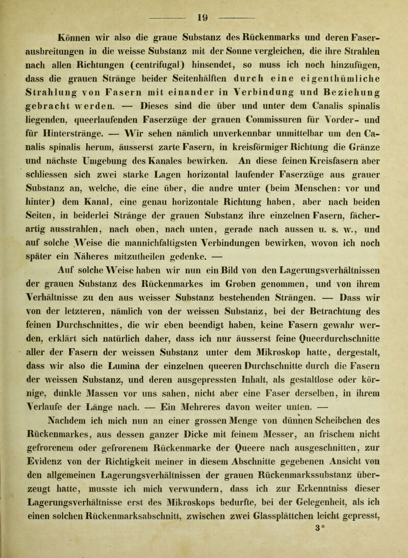 Können wir also die graue Substanz des Rückenmarks und deren Faser- ausbreitungen in die weisse Substanz mit der Sonne vergleichen, die ihre Strahlen nach allen Richtungen (centrifugal) hinsendet, so muss ich noch hinzufügen, dass die grauen Stränge beider Seitenhälften durch eine eigentümliche Strahlung von Fasern mit einander in Verbindung und Reziehung gebracht werden. — Dieses sind die über und unter dem Canalis spinalis liegenden, queerlaufenden Faserzüge der grauen Commissuren für Vorder- und für Hinterstränge. — Wir sehen nämlich unverkennbar unmittelbar um den Ca- nalis spinalis herum, äusserst zarte Fasern, in kreisförmiger Richtung die Gränze und nächste Umgebung des Kanales bewirken. An diese feinen Kreisfasern aber schliessen sich ZAvei starke Lagen horizontal laufender Faserzüge aus grauer Substanz an, welche, die eine über, die andre unter (beim Menschen: vor und hinter) dem Kanal, eine genau horizontale Richtung haben, aber nach beiden Seiten, in beiderlei Stränge der grauen Substanz ihre einzelnen Fasern, fächer- artig ausstrahlen, nach oben, nach unten, gerade nach aussen u. s. w., und auf solche .Weise die mannichfaltigsten Verbindungen bewirken, wovon ich noch später ein Näheres mitzutheilen gedenke. — Auf solche Weise haben wir nun ein Bild von den Lagerungsverhältnissen der grauen Substanz des Rückenmarkes im Groben genommen, und von ihrem Verhältnisse zu den aus weisser Substanz bestehenden Strängen. — Dass wir von der letzteren, nämlich von der weissen Substanz, bei der Betrachtung des feinen Durchschnittes, die wir eben beendigt haben, keine Fasern gewahr wer- den, erklärt sich natürlich daher, dass ich nur äusserst feine Oueerdurchschnitte aller der Fasern der weissen Substanz unter dem Mikroskop hatte, dergestalt, dass wir also die Lumina der einzelnen queeren Durchschnitte durch die Fasern der weissen Substanz, und deren ausgepressten Inhalt, als gestaltlose oder kör- nige, dunkle Massen vor uns sahen, nicht aber eine Faser derselben, in ihrem Verlaufe der Länge nach. — Ein Melireres davon weiter unten. — «c Nachdem ich mich nun an einer grossen Menge von dünnen Scheibchen des Rückenmarkes, aus dessen ganzer Dicke mit feinem Messer, an frischem nicht gefrorenem oder gefrorenem Rückenmarke der Oueere nach ausgeschnitten, zur Evidenz von der Richtigkeit meiner in diesem Abschnitte gegebenen Ansicht von den allgemeinen Lagerungsverhältnissen der grauen Rückenmarkssubstanz über- zeugt hatte, musste ich mich verwundern, dass ich zur Erkenntniss dieser Lagerungsverhältnisse erst des Mikroskops bedurfte, bei der Gelegenheit, als ich einen solchen Rückenmarksabschnitt, zwischen zwei Glassplättchen leicht gepresst, 3*